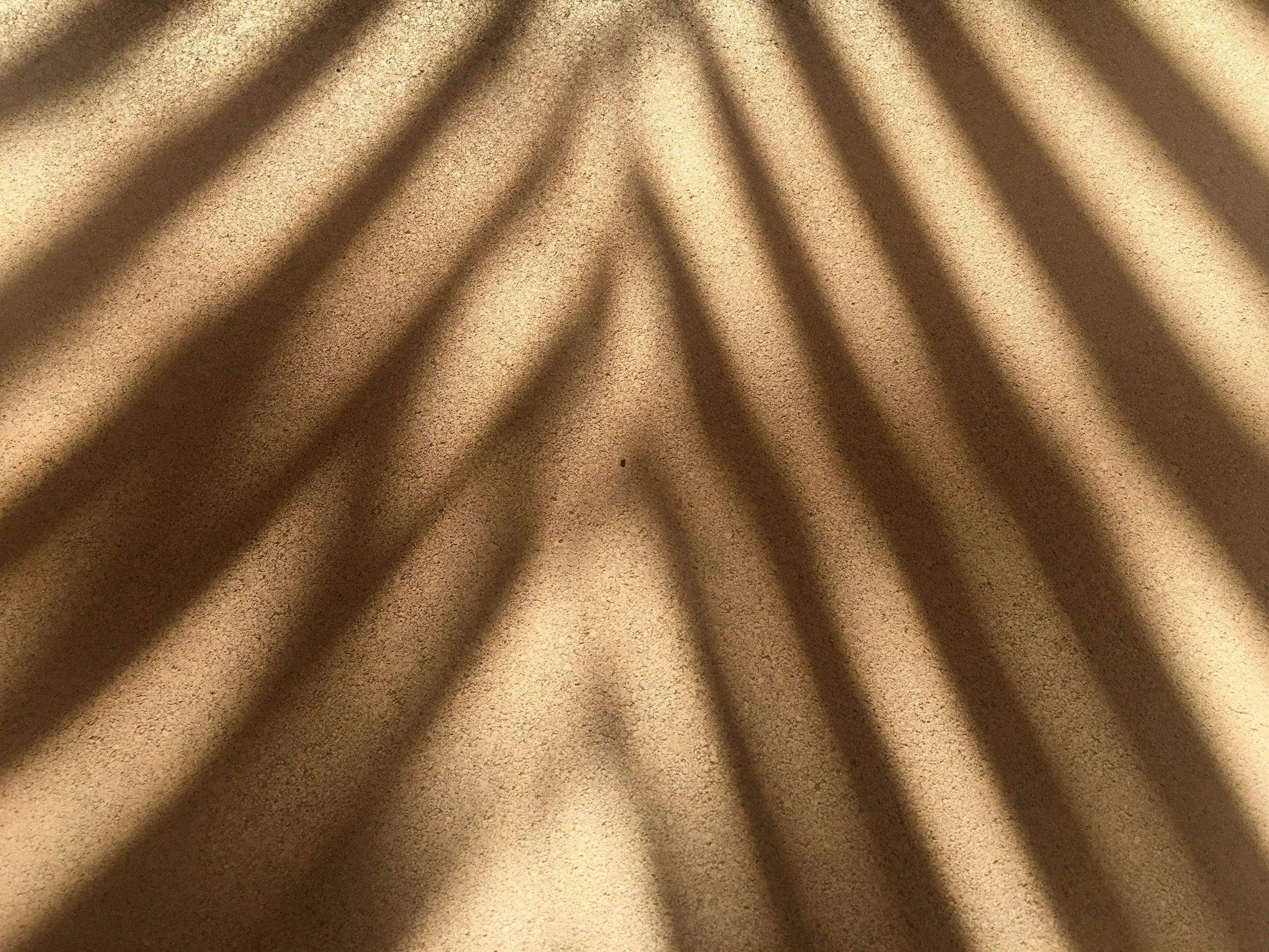 Shadows of palm leaves cast on a sandy surface