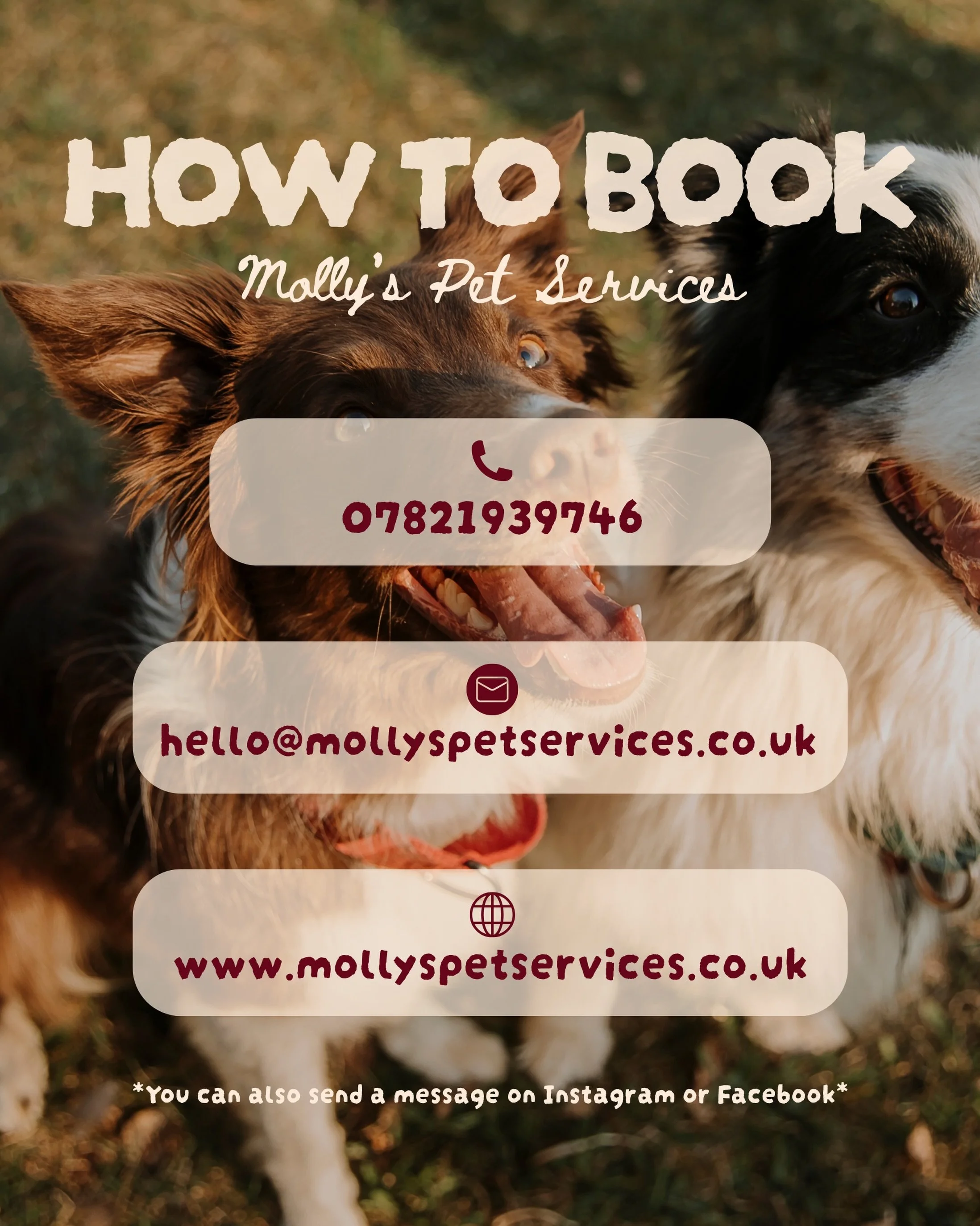 How to Book ⬇️

To book a service you can text/Whatsapp or call 07821939746, drop an email to hello@mollyspetservices.co.uk or fill out the contact form on my website www.mollyspetservices.co.uk. You can also message me on Instagram and Facebook. ✨

