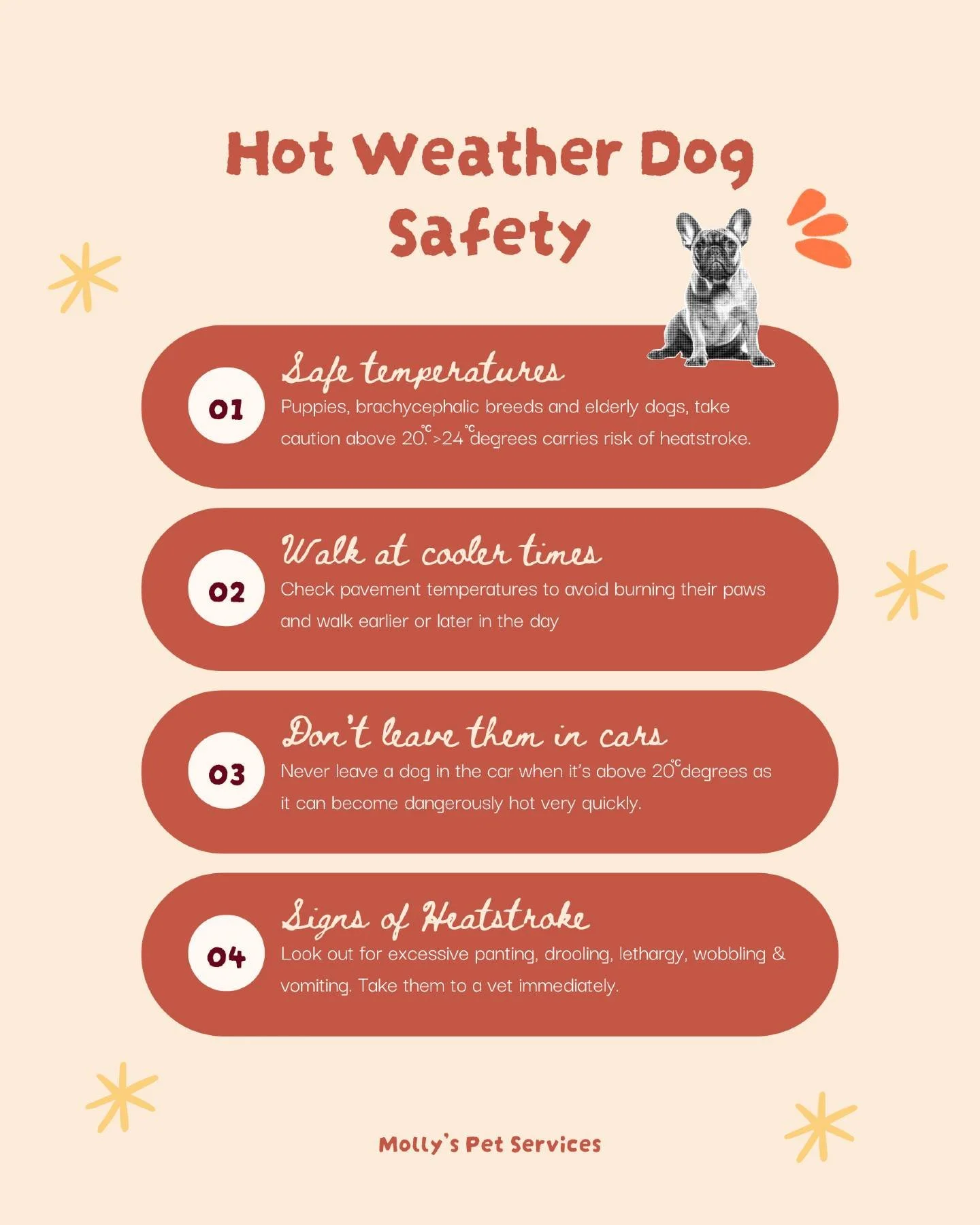 Hot Weather Dog Safety ☀️🦮
Dogs can only rely on us to protect them from the potential dangers of extreme heat, so here's some helpful information regarding safety in hot weather and how I manage it as a professional dog walker. 

I hope this can be