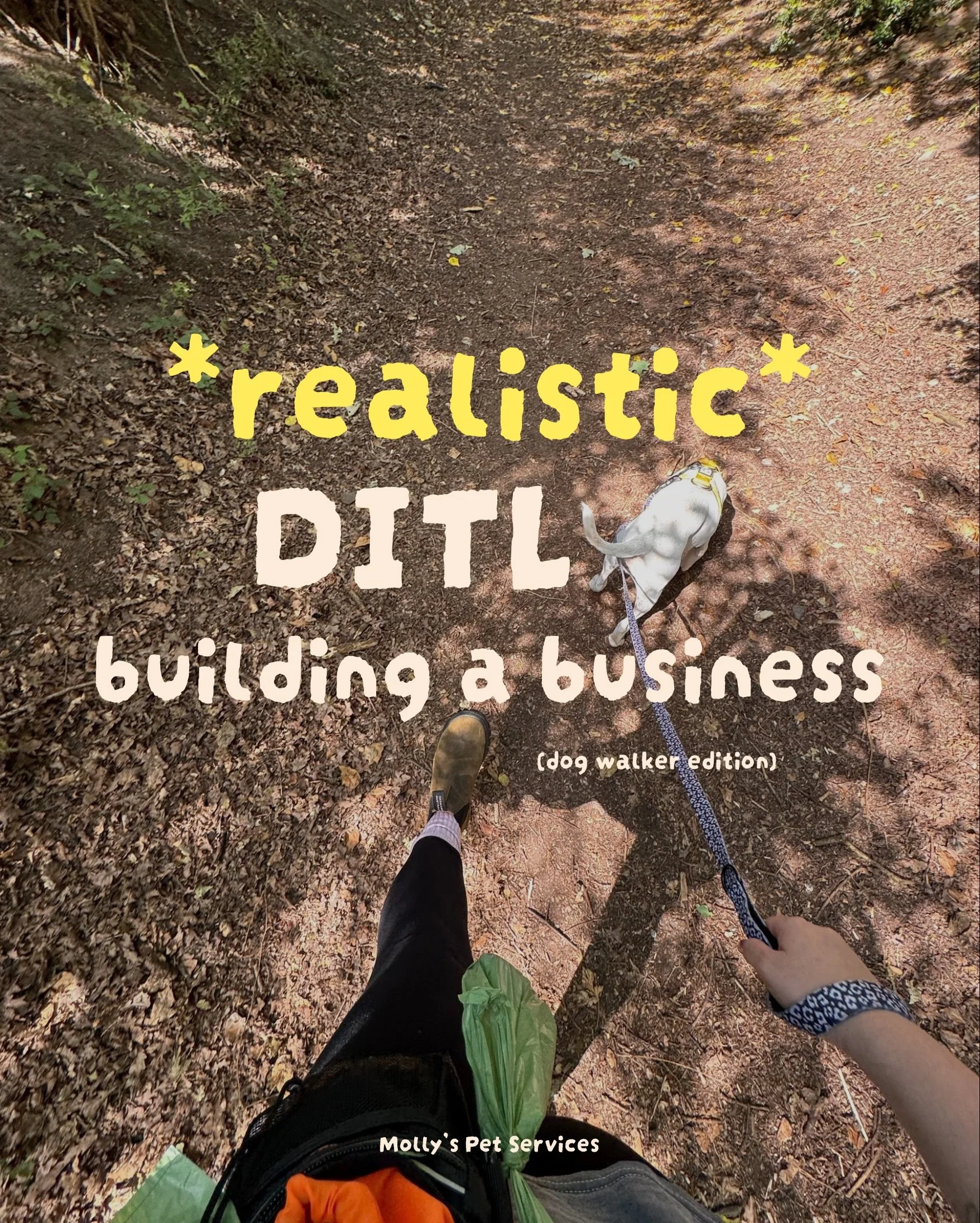 Come and join me on a busy day as a full time Professional Dog Walker, part time retail diva ✨💅🏻 (somehow quit my 9-5 for 16 hour days but girl is it worth it). 
This day was stunning; the sun was out, watermelon is back in season and the doggies w