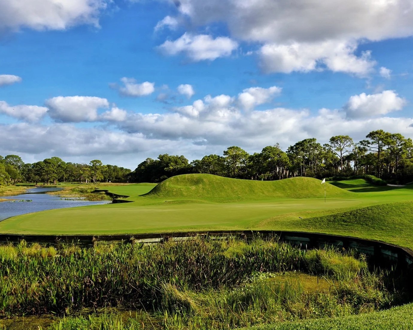 Committing to a Swing Change