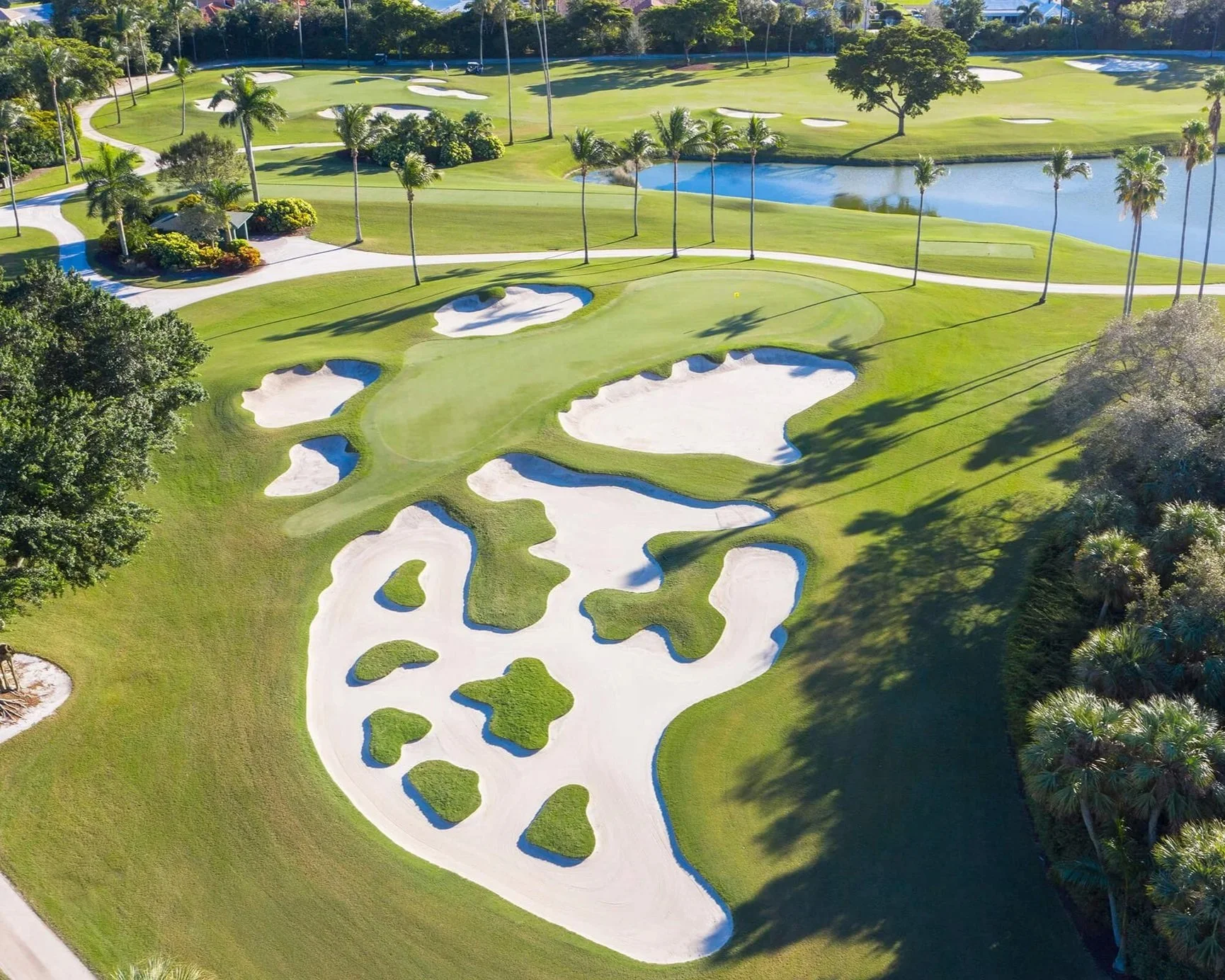 Q&amp;A: Taylor Morgan, Assistant Golf Professional &amp; Merchandiser at Pine Tree Golf Club