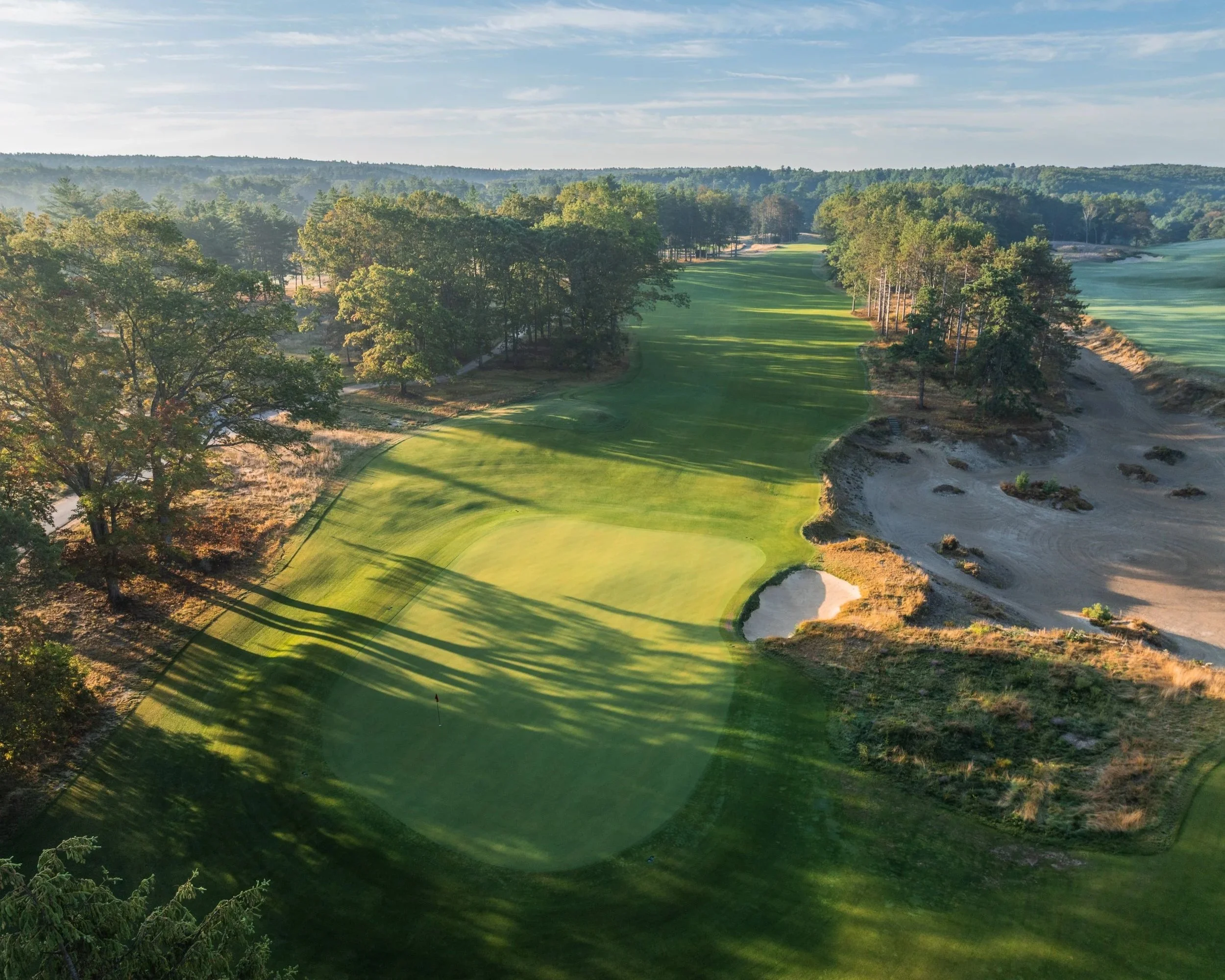 The International: The Pines