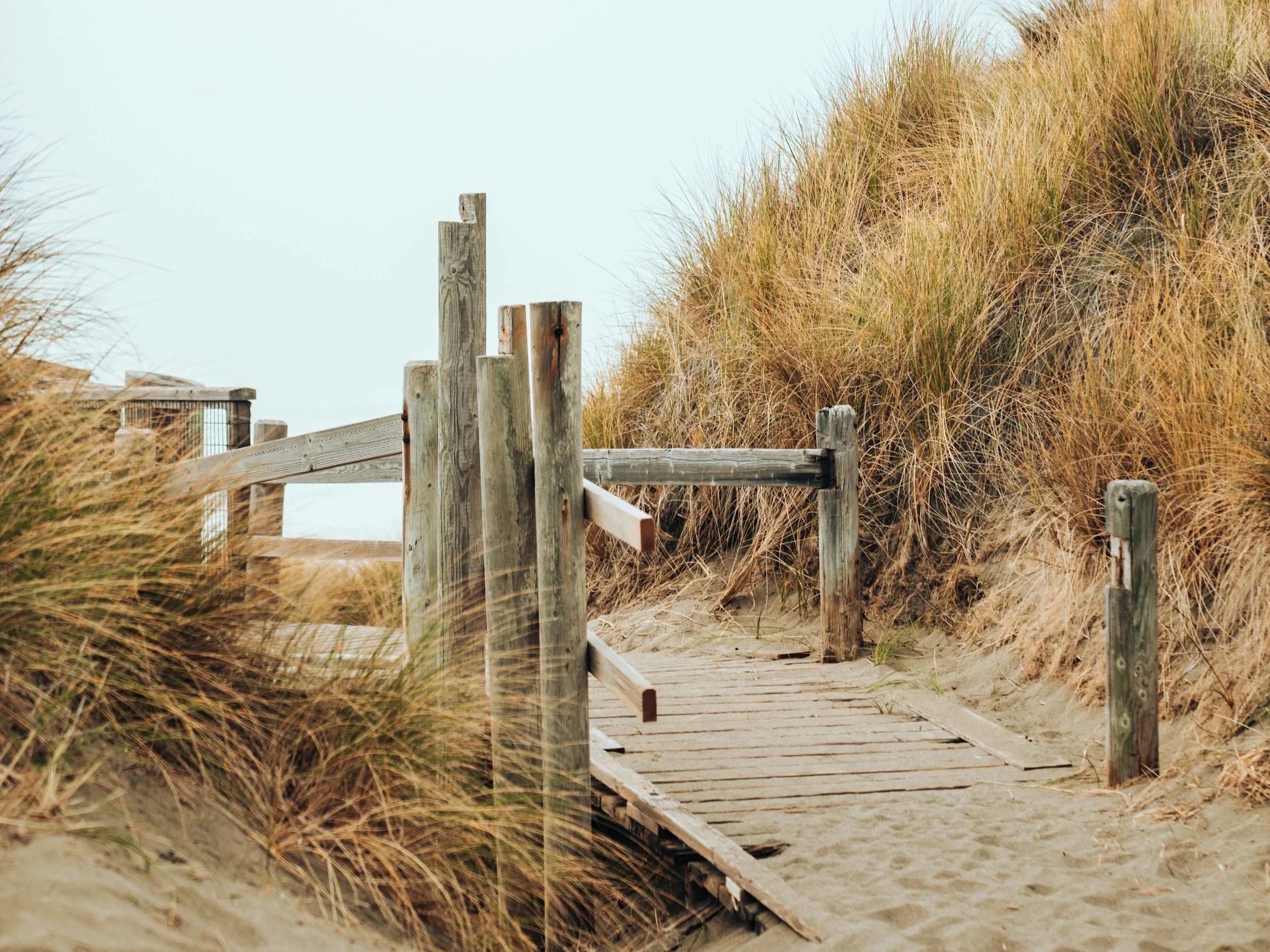 What “Anchored in Care” Means to Us