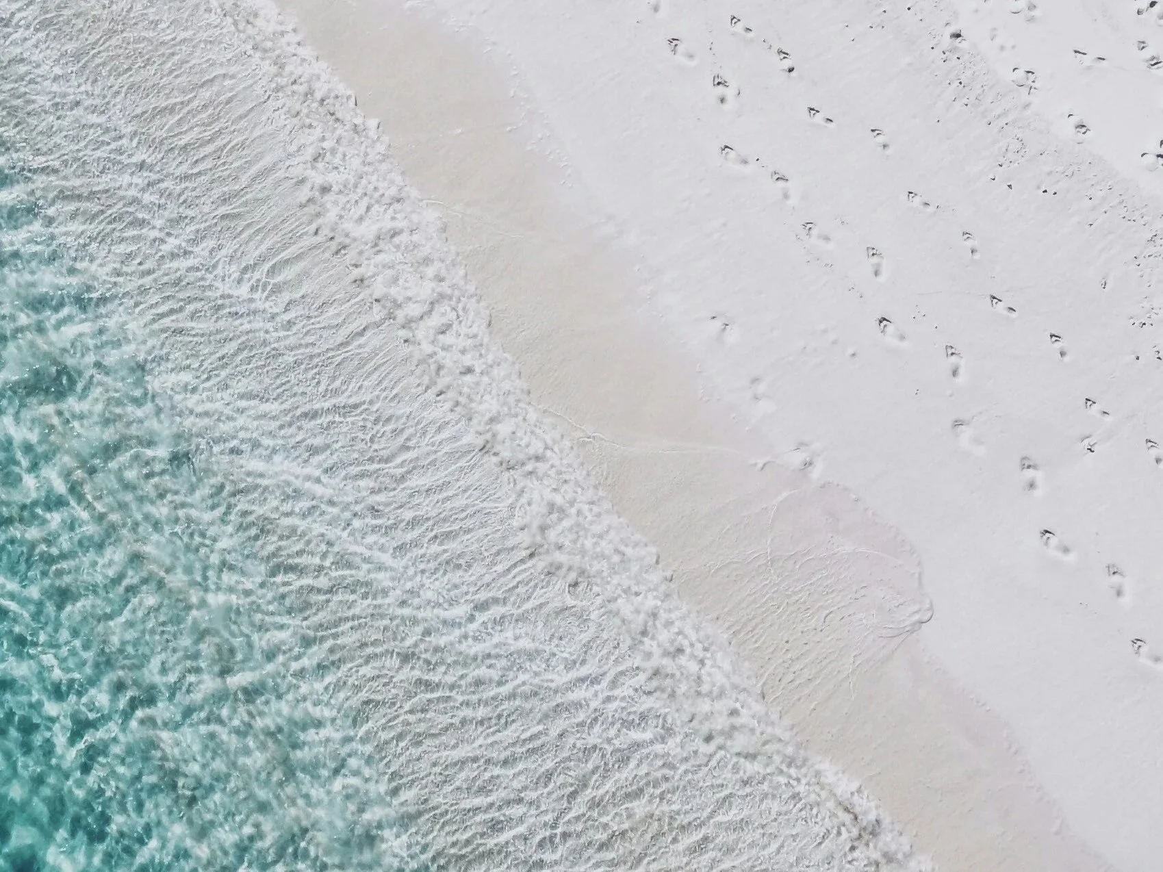 Why I Started Coastal Living SWFL