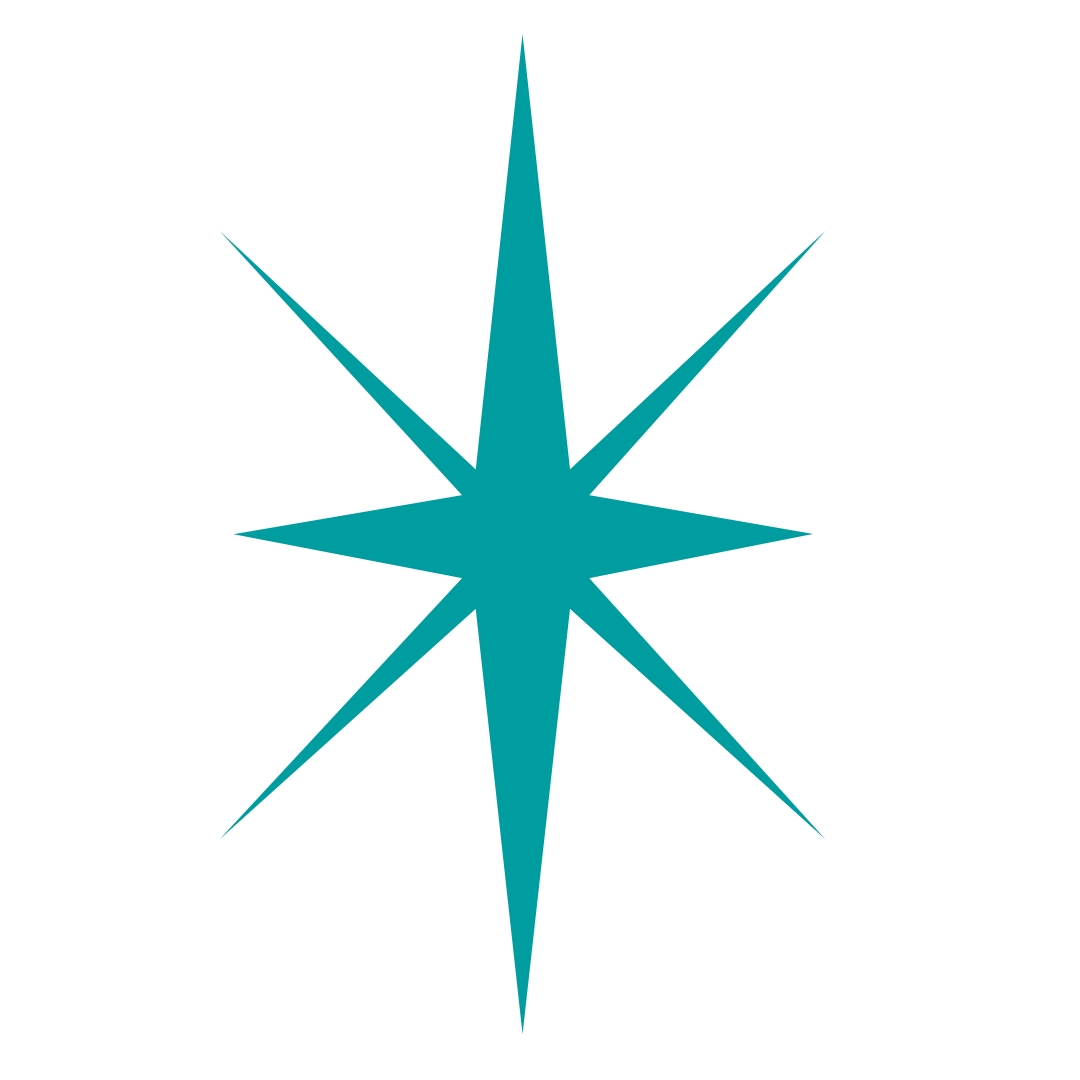 b-fill_Star 2.png