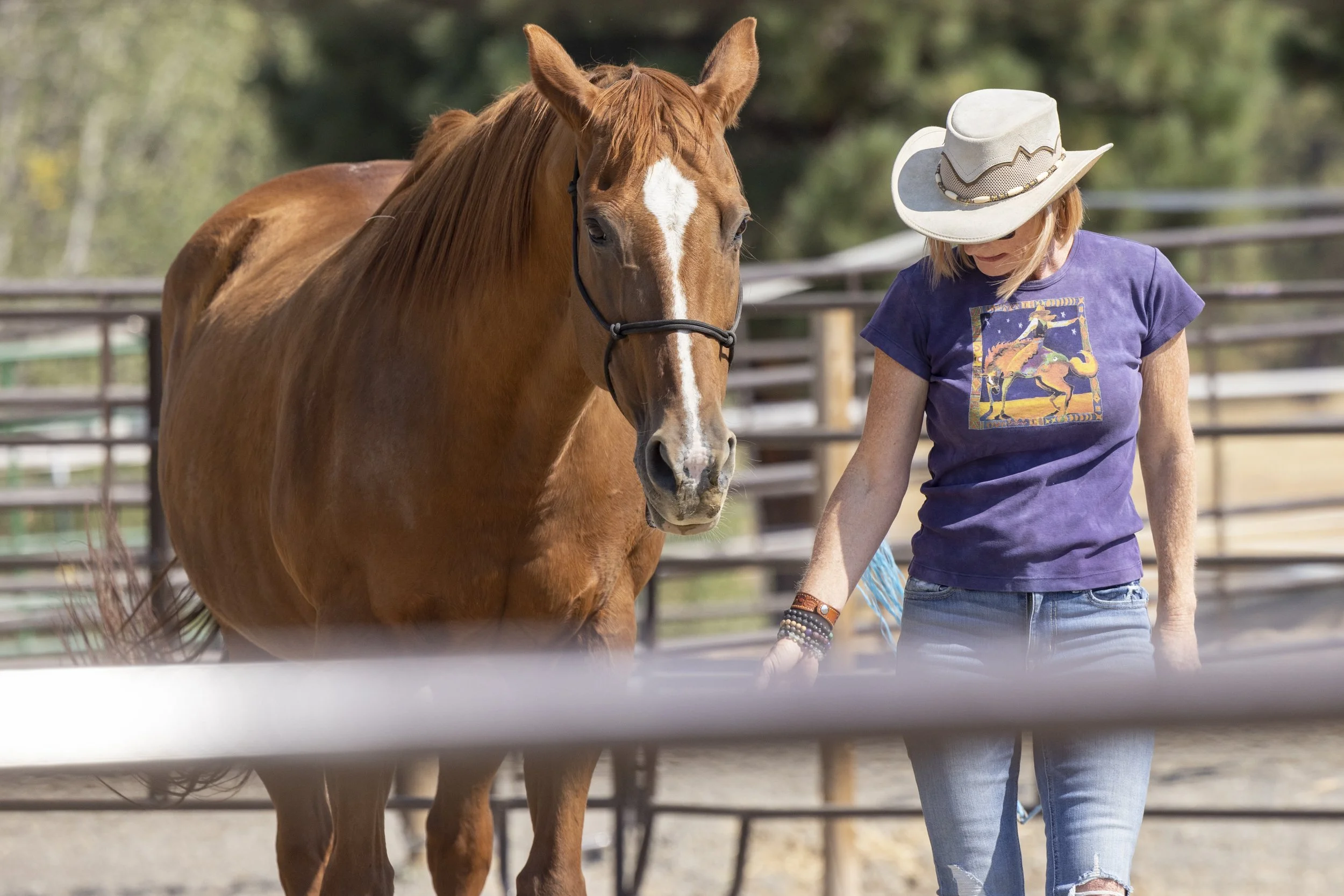 Michelle working with a horse in an arena