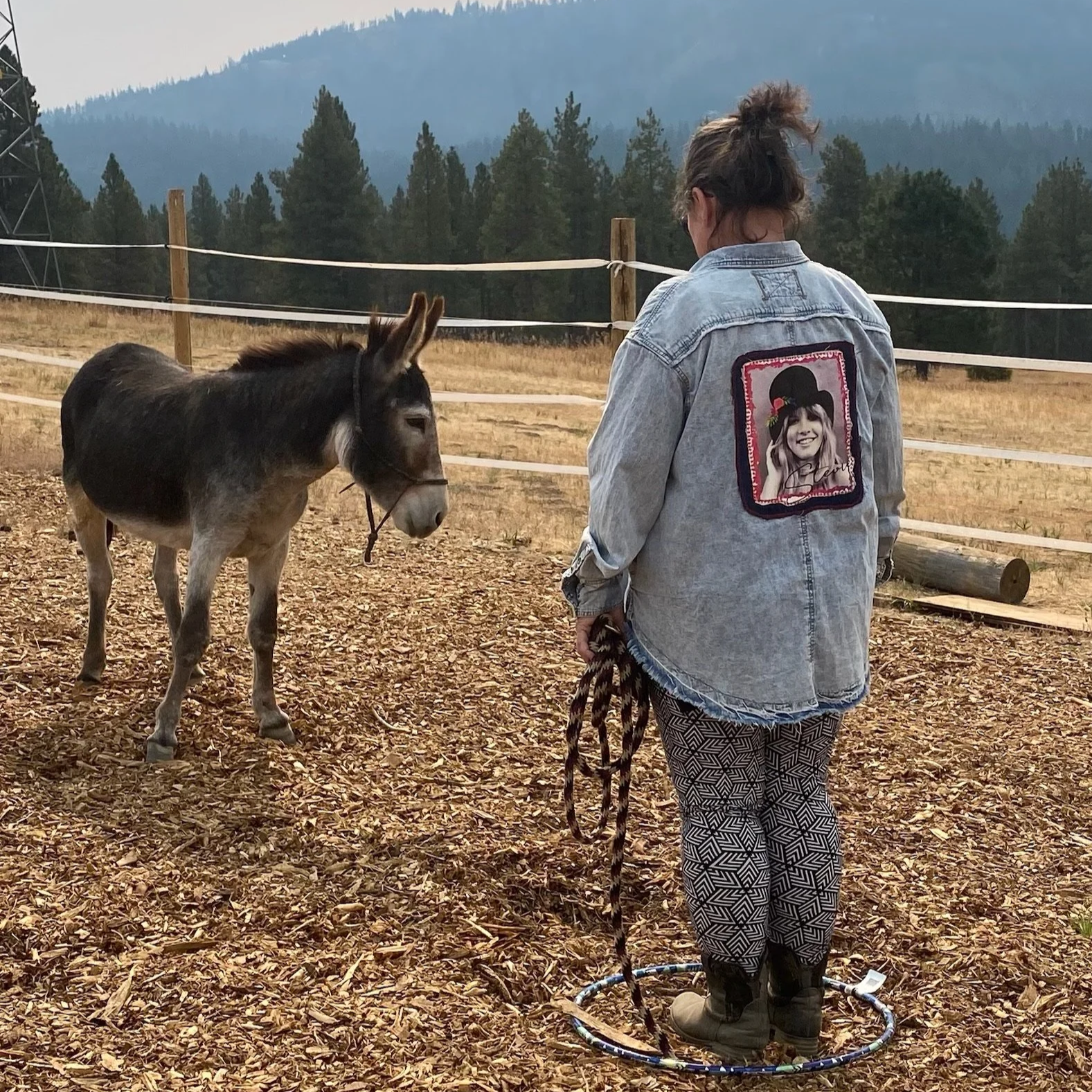 a woman interacting with a burro