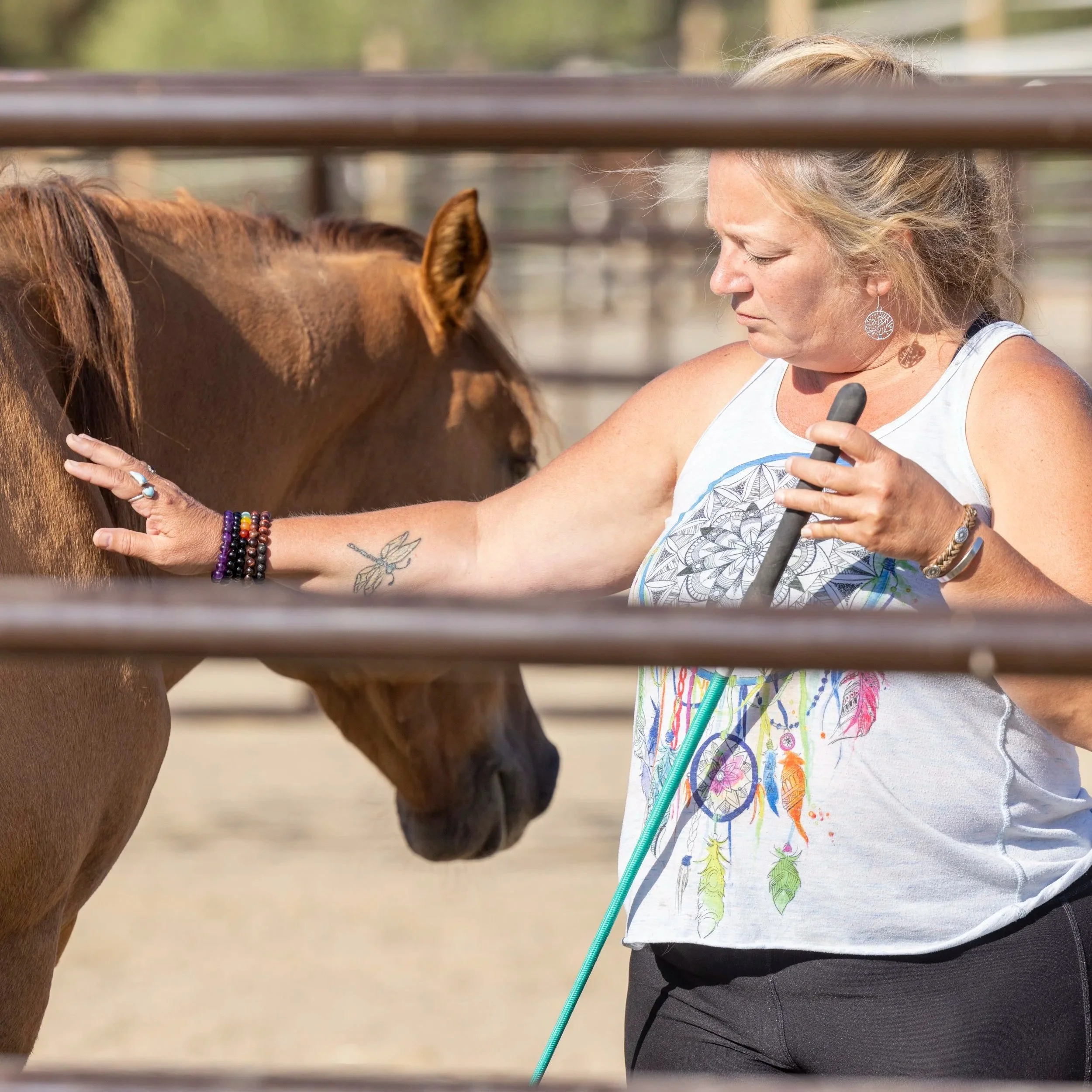 a woman gentle touching a mustang