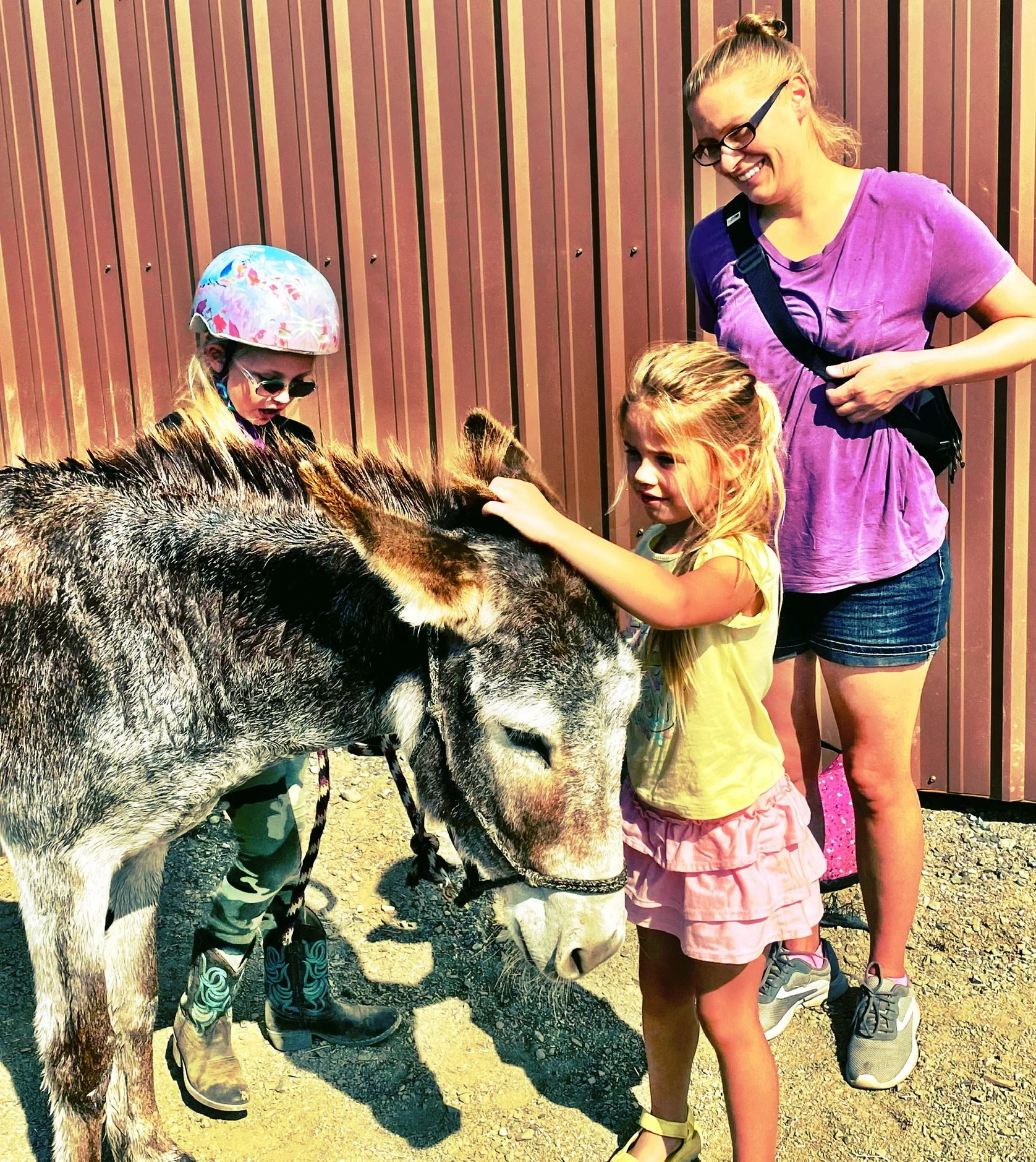 two kids petting a burro with an adult