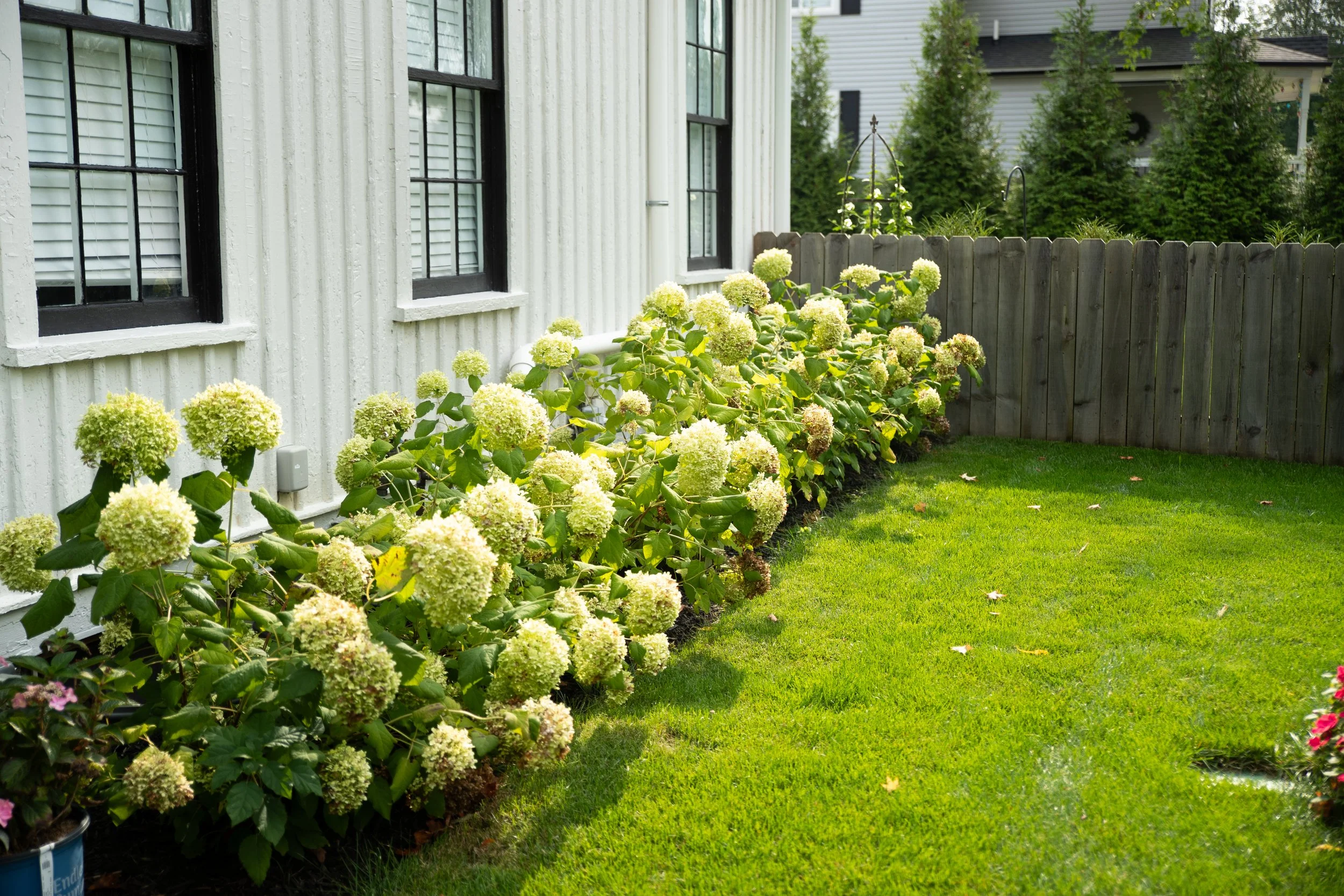 08_30_24_219 S Walnut_Ground-10.jpg