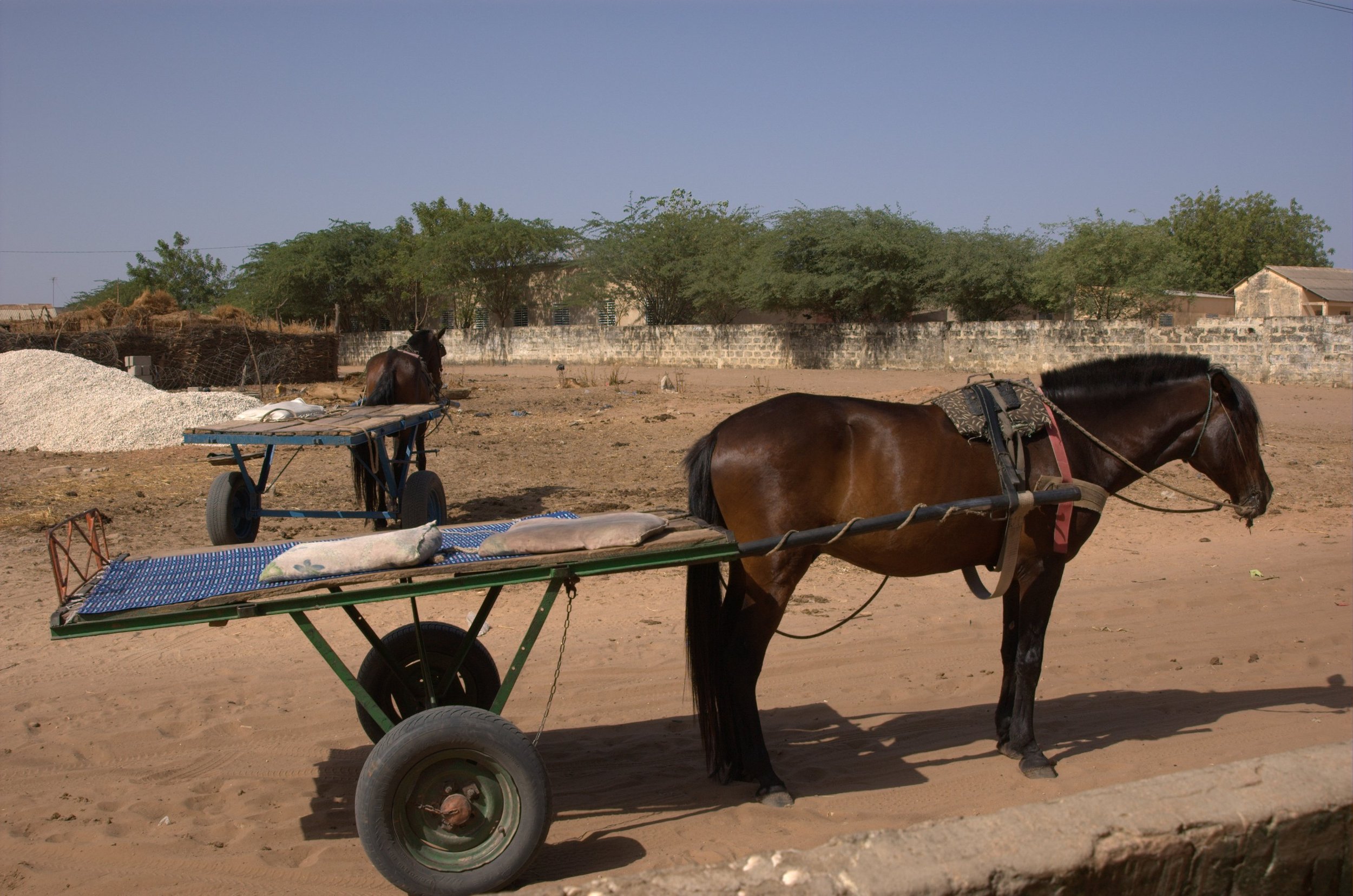 Miracle in Malawi 10.jpg