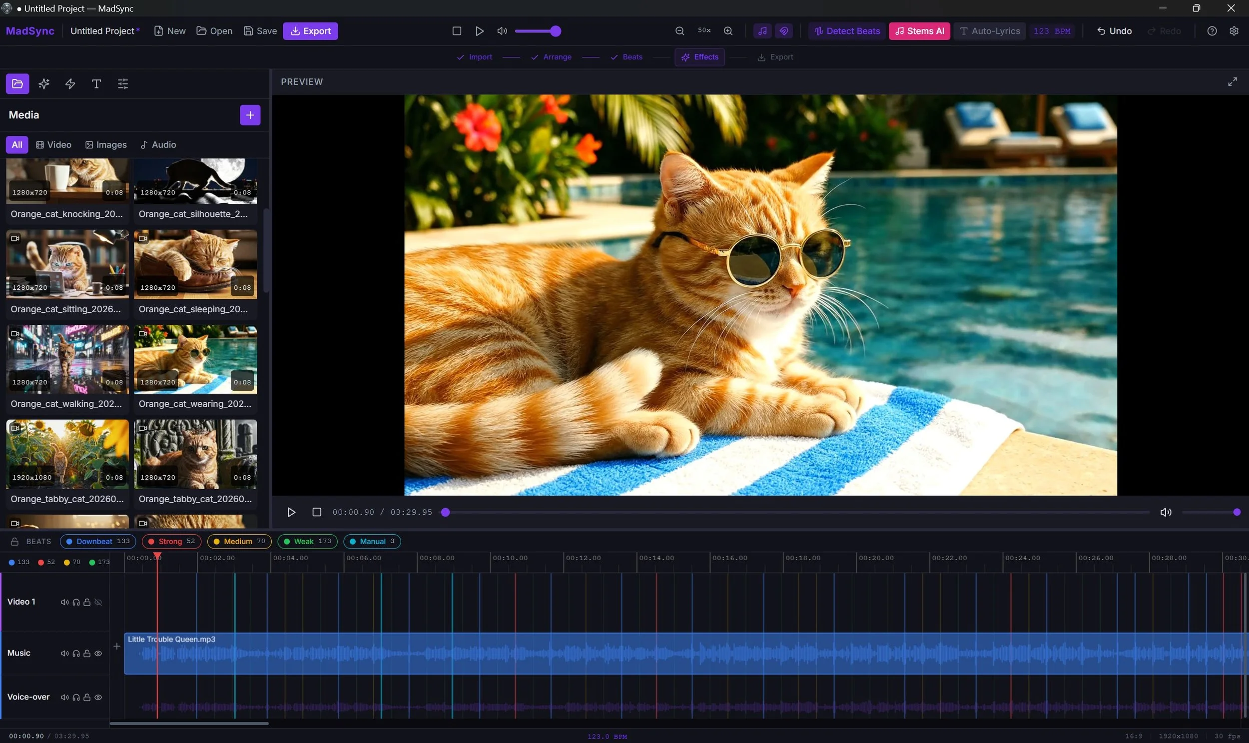 Video editor showing beat detection on a timeline in the editor software program.