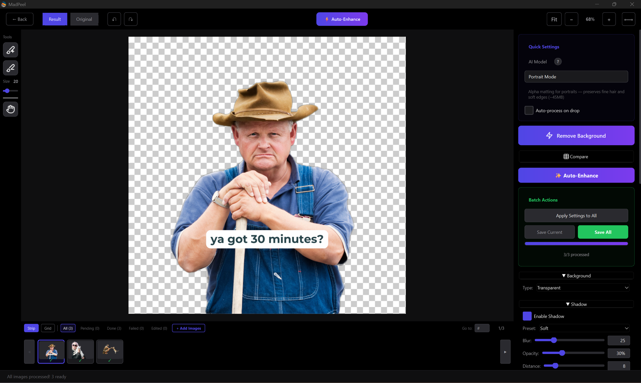 Madpeel batch background removal portrait editing tools