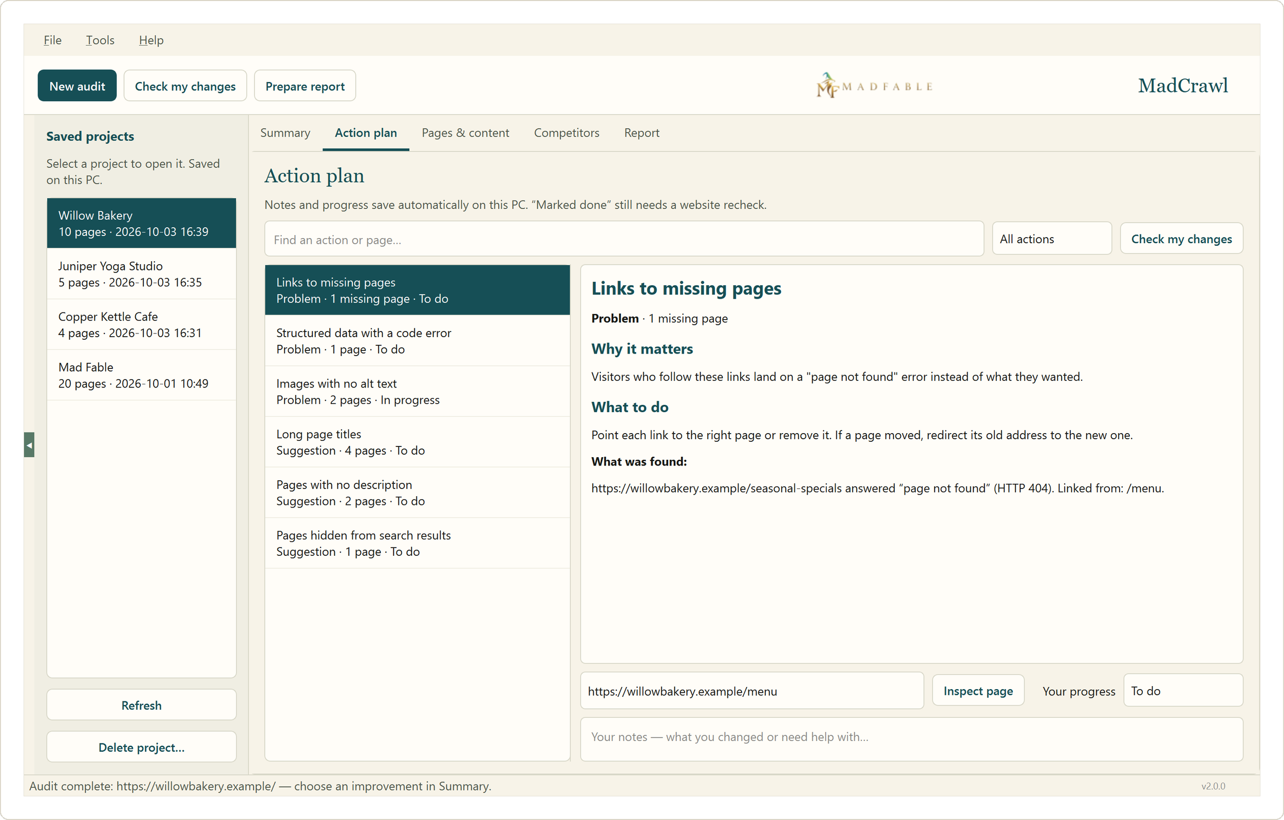 MadCrawl action plan item with why it matters, what to do and what was found