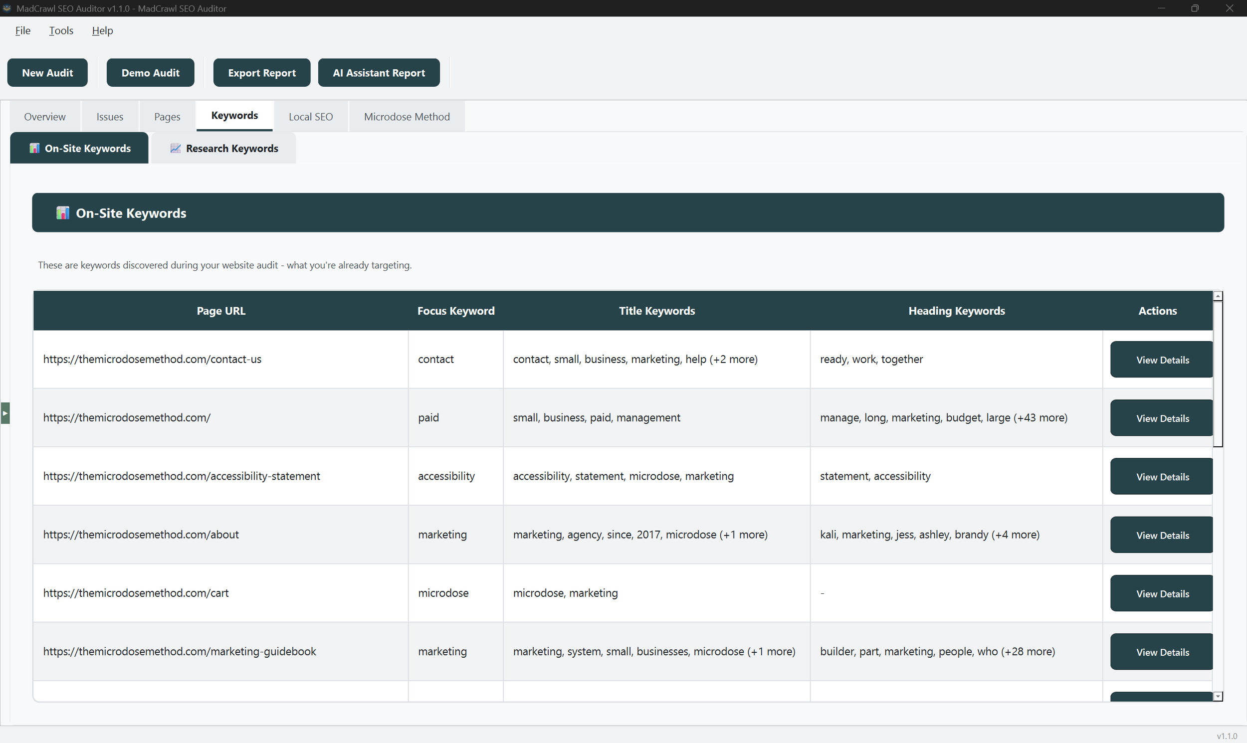 Madcrawl on site keywords tab screenshot.