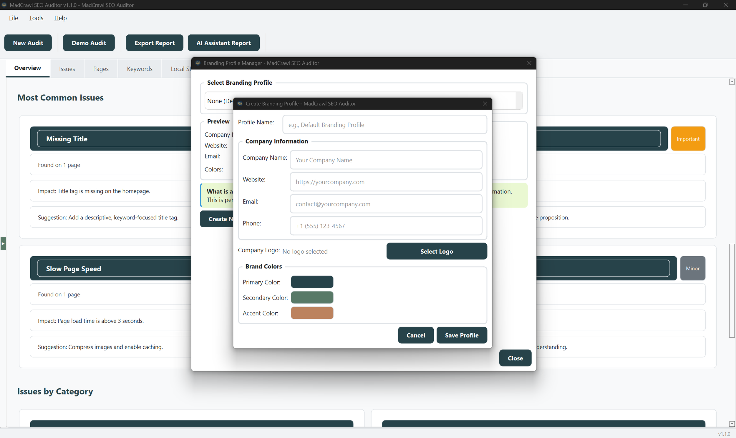 Madcrawl Branding Profile Manager Dialog screenshot.