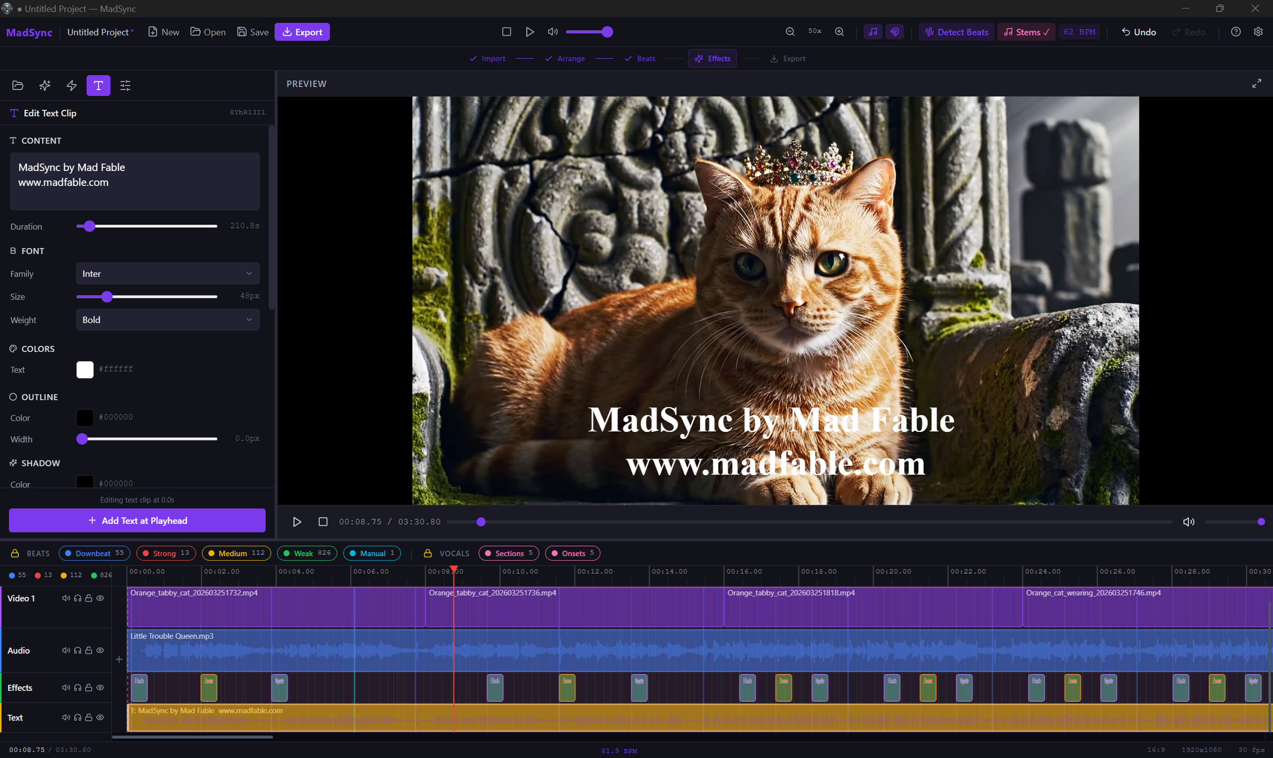 MadSync text overlay editor with font and style controls.