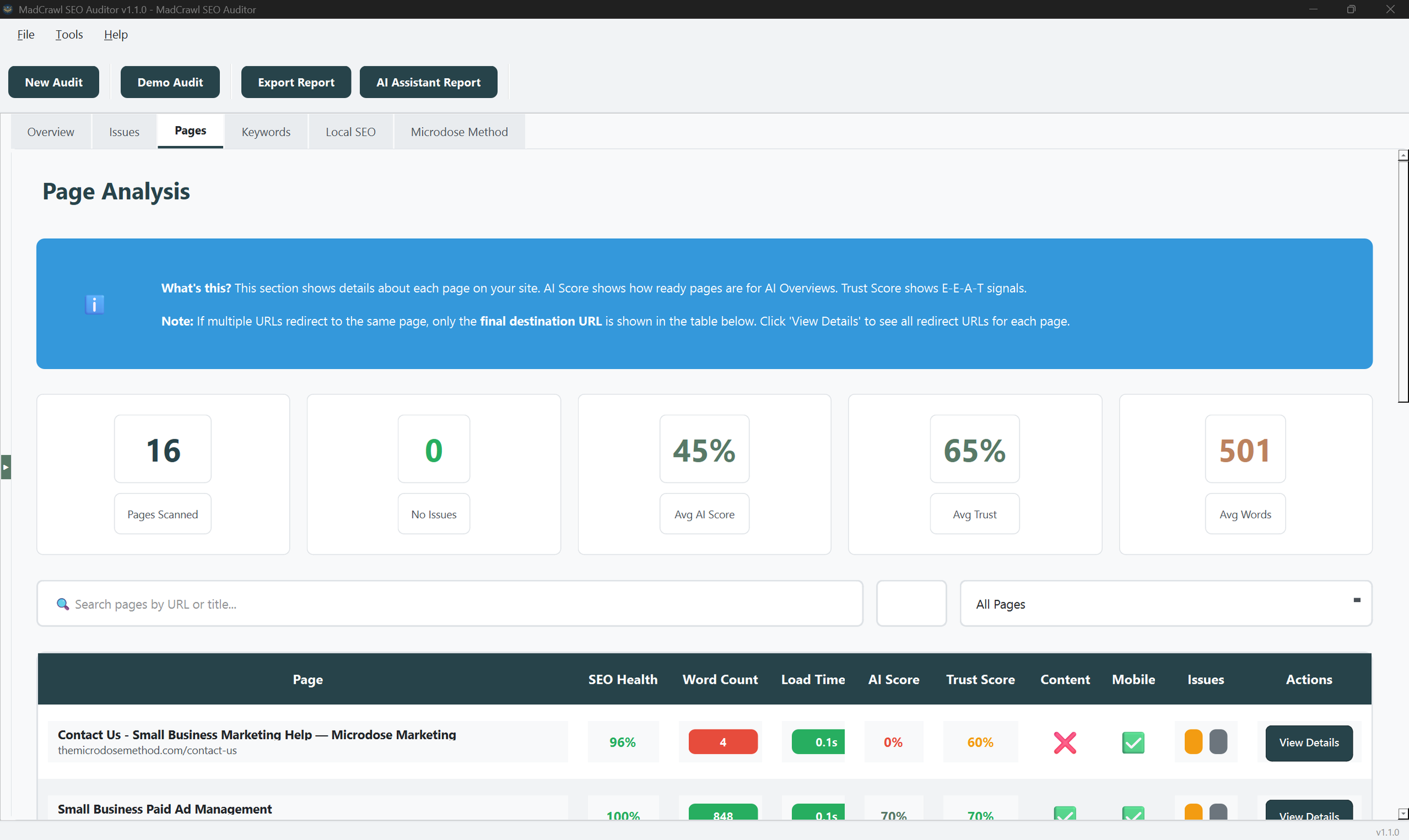 Madcrawl Page Analysis Tab Site metrics screenshot.