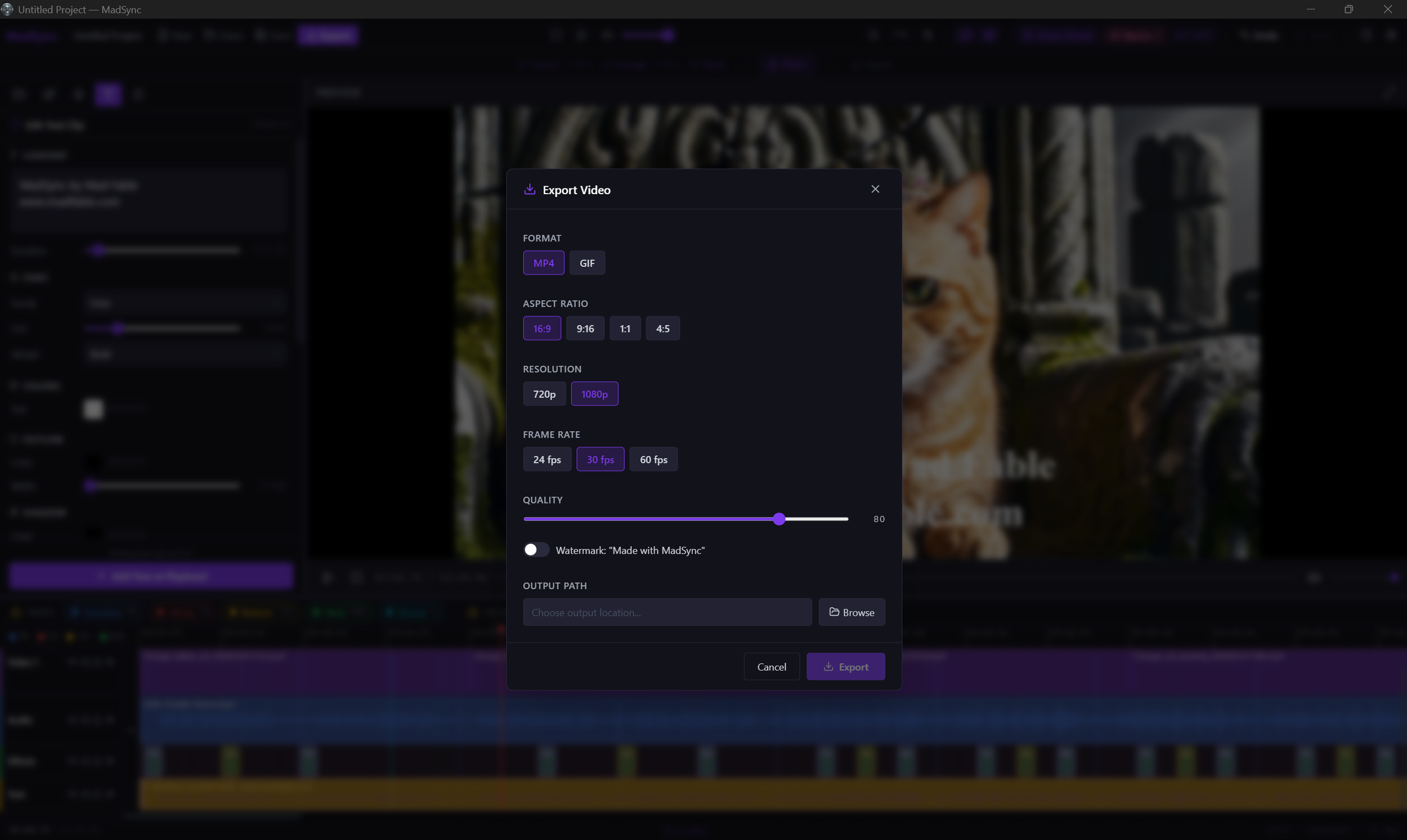 MadSync export dialog with format, aspect ratio, and resolution options.