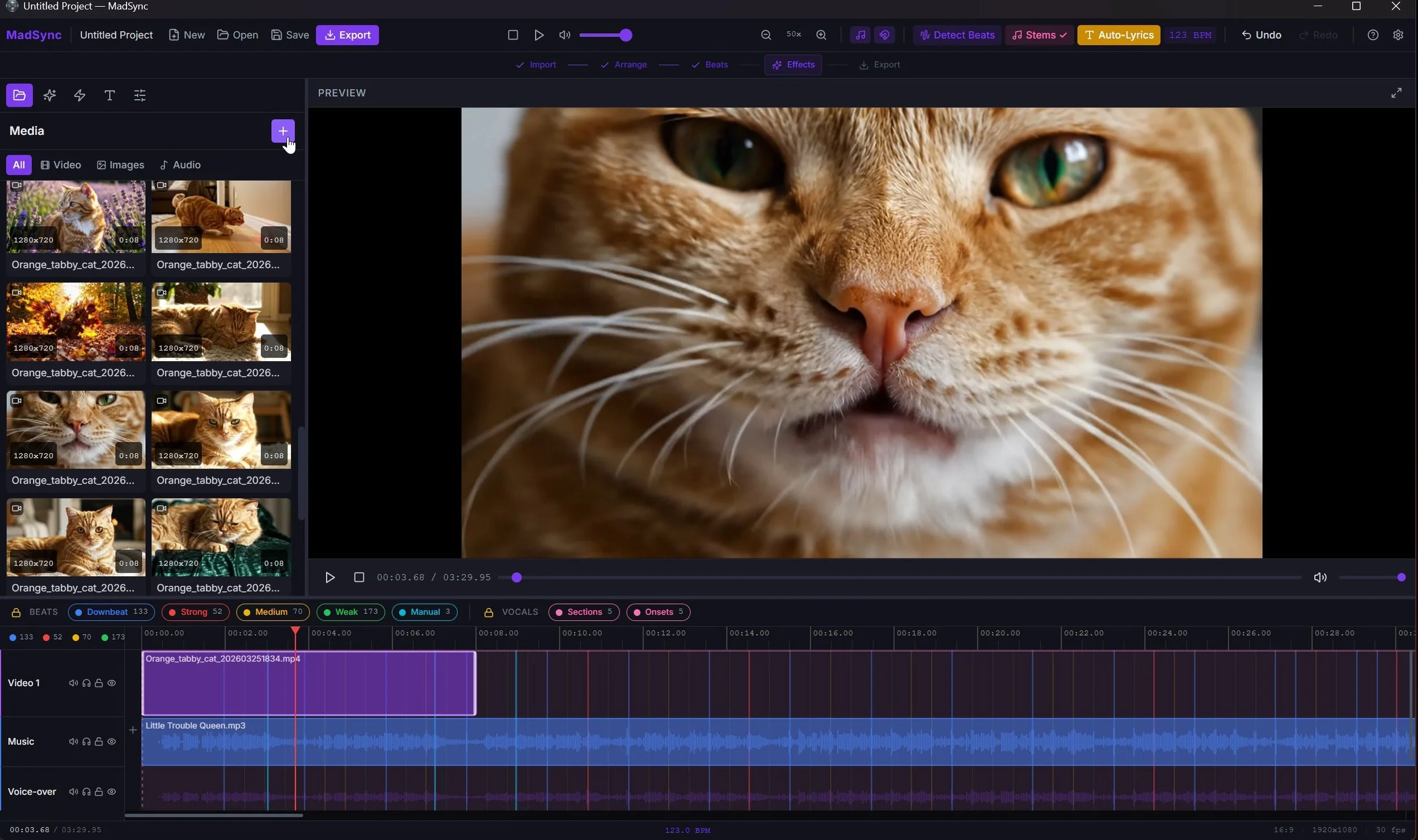 Video Editor with a cat face on preview showing all the varies imported clips and audio.