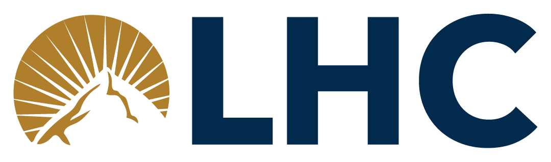 Last Horizons Consulting