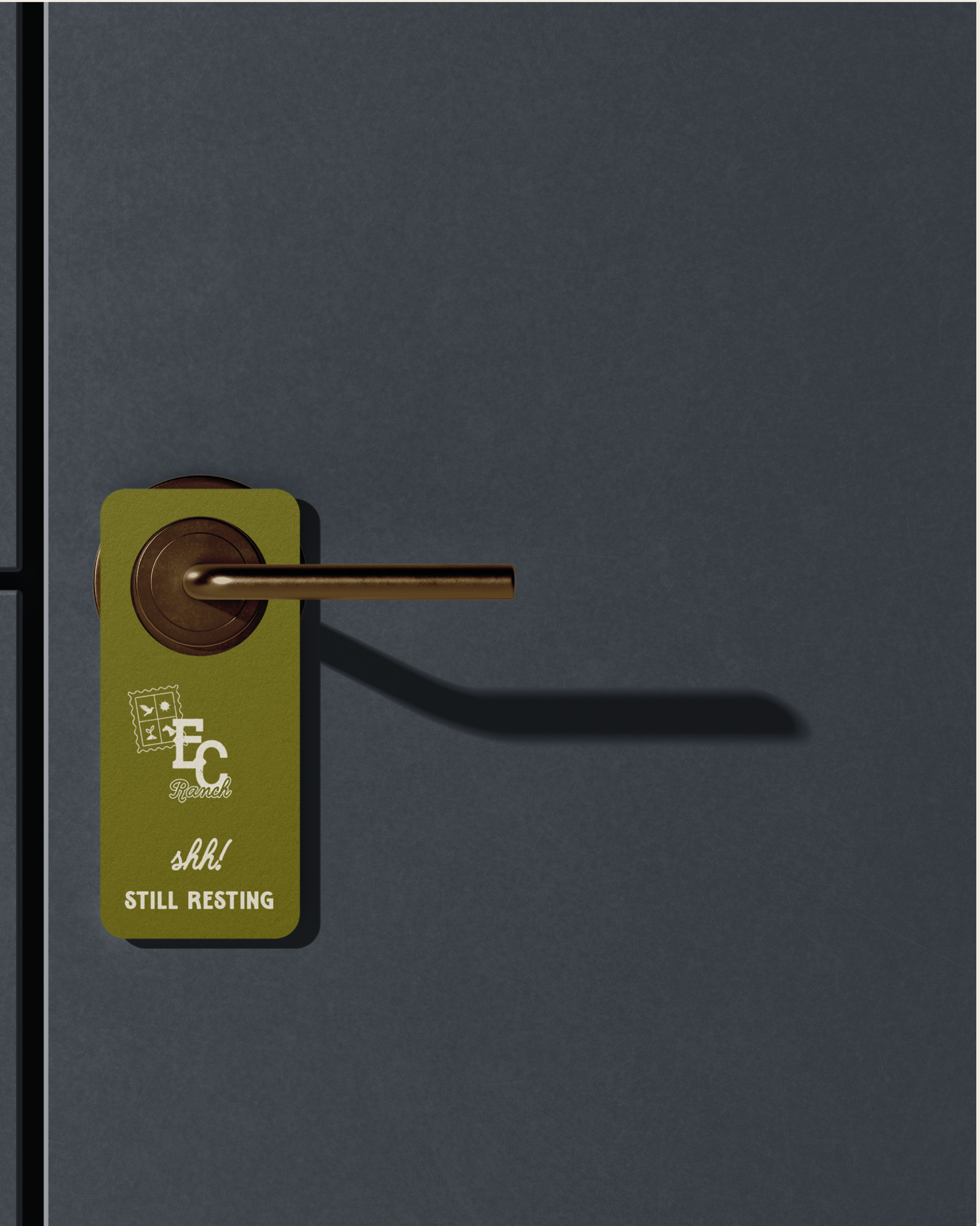 Brand Carousel-15 2.png