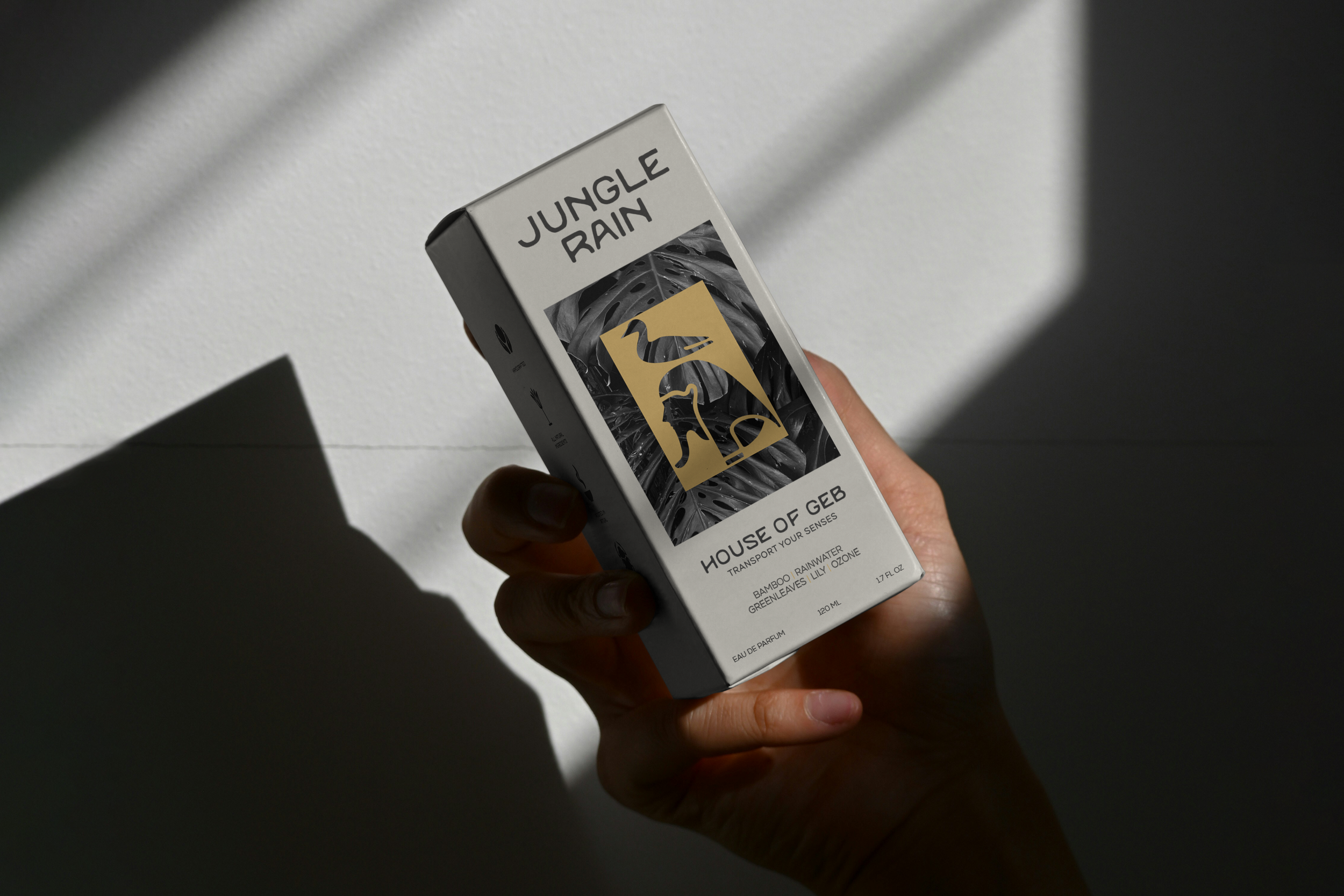 Free Front View Cosmetic Box Mockup.png