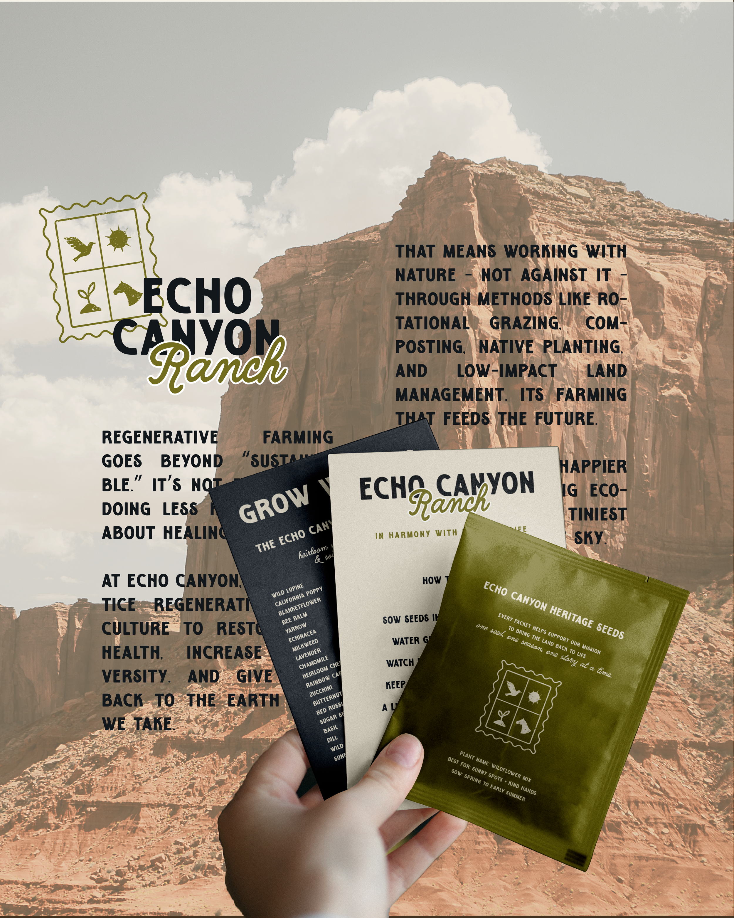 Brand Carousel-18 2.png