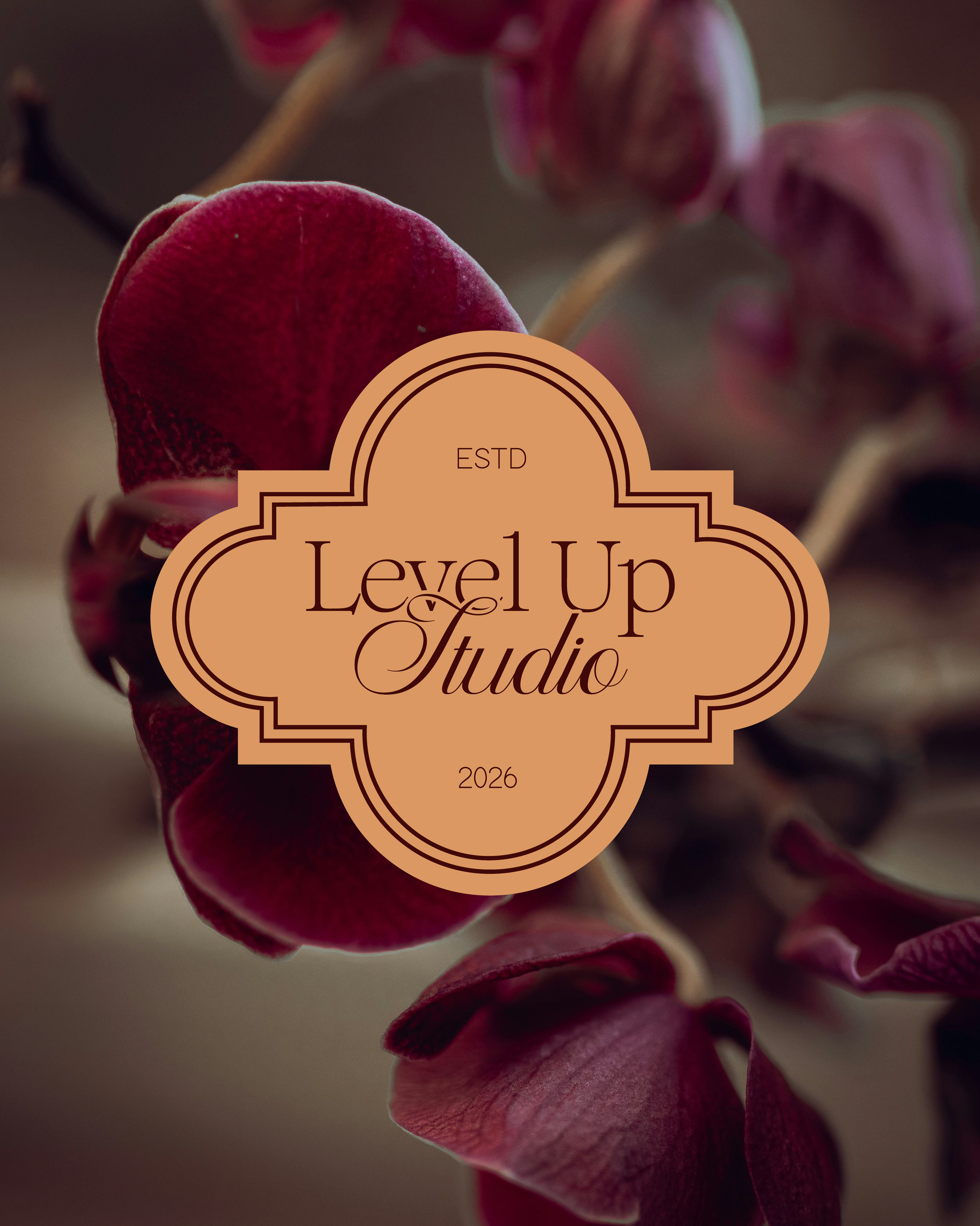 Level Up Studio