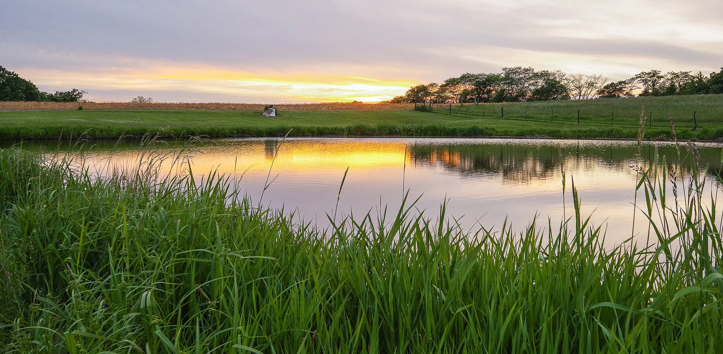 sunset pond final.jpg