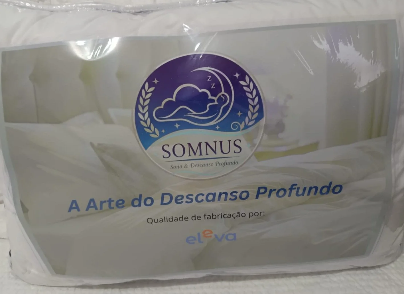 PLUMA 3.JPG