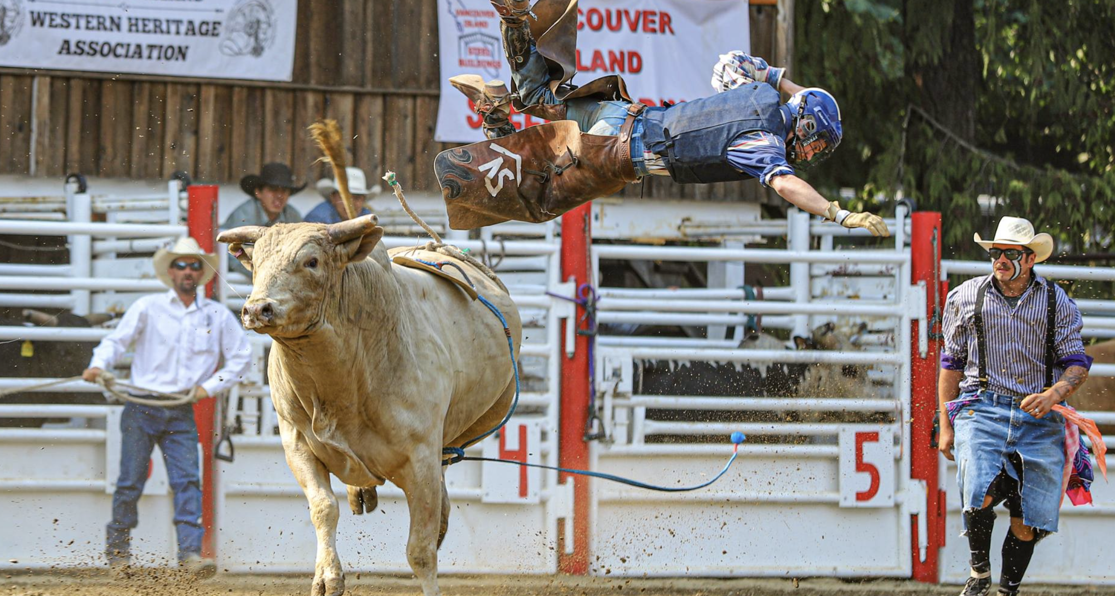 Bulls, Broncs & Barrels