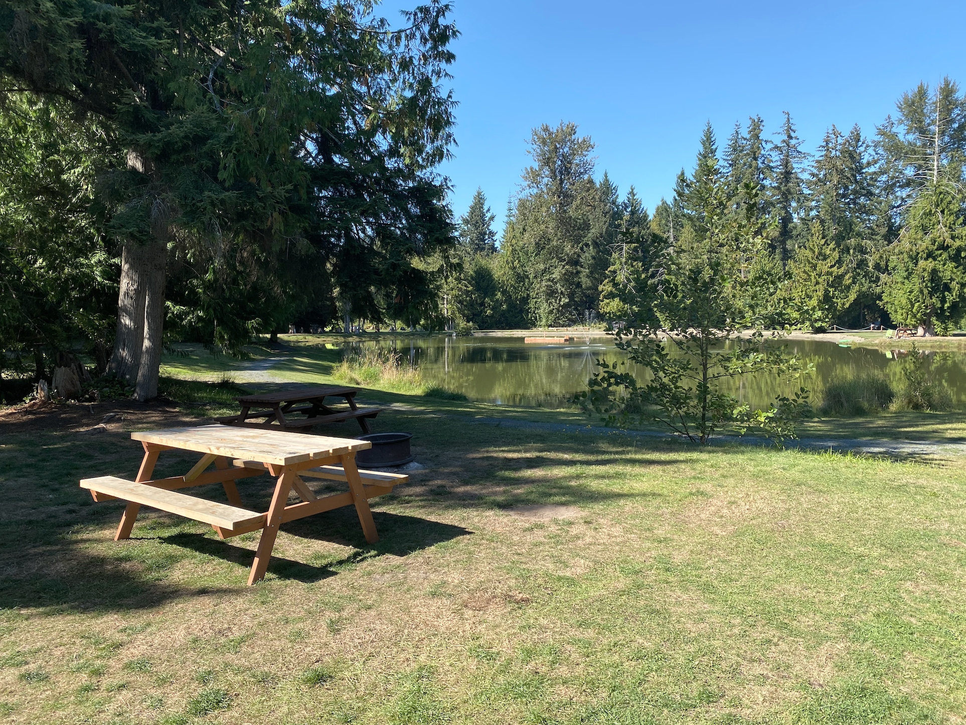 A peaceful outdoor scene featuring a lake surrounded by green trees with a clear blue sky. Two wooden picnic tables sit on the grassy area near the water, with one in the foreground and one in the background.