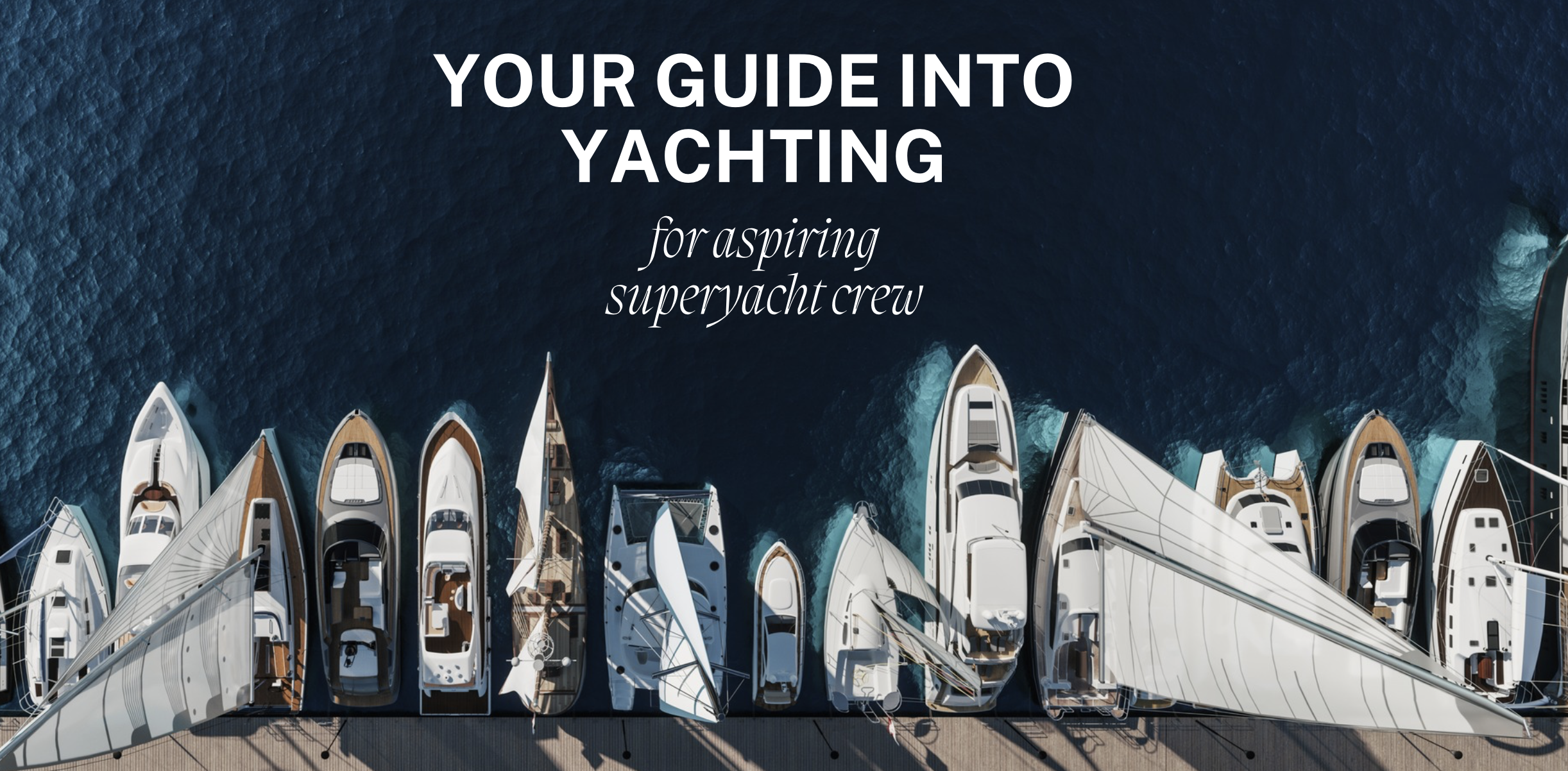 Screenshot 2026-02-17 at 14.41.25.png