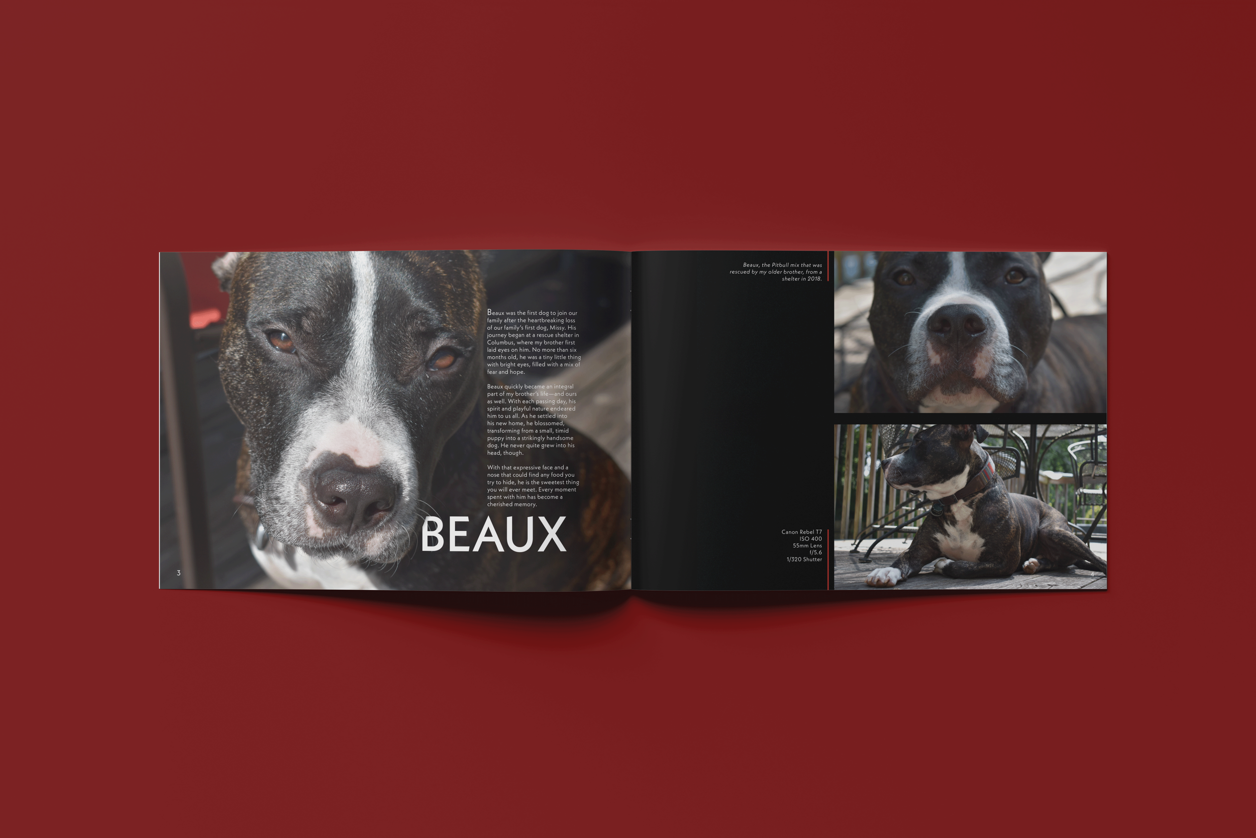 Collection Book - Mockup 5.png