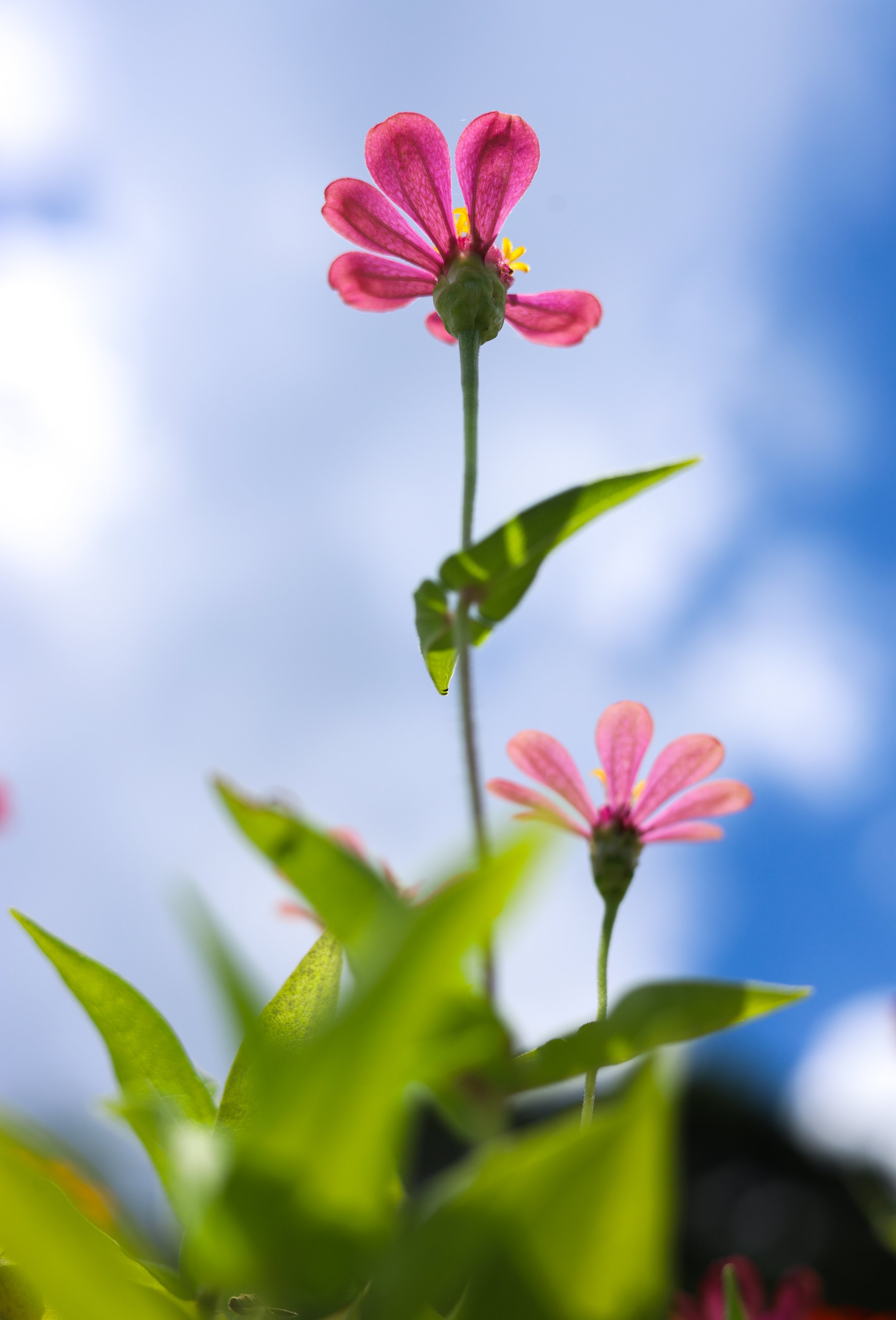 0F9A6307.jpg