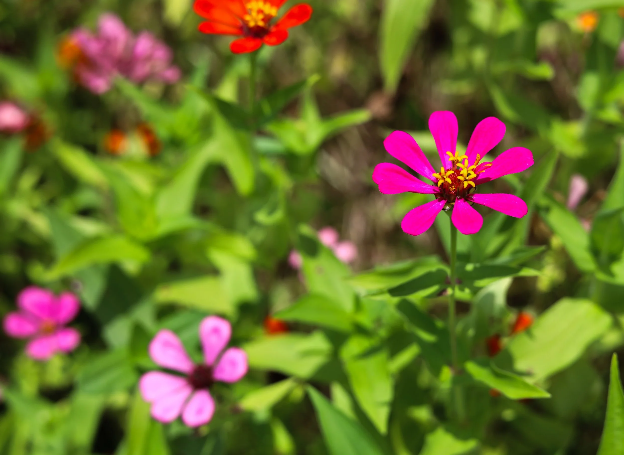 0F9A6310.jpg