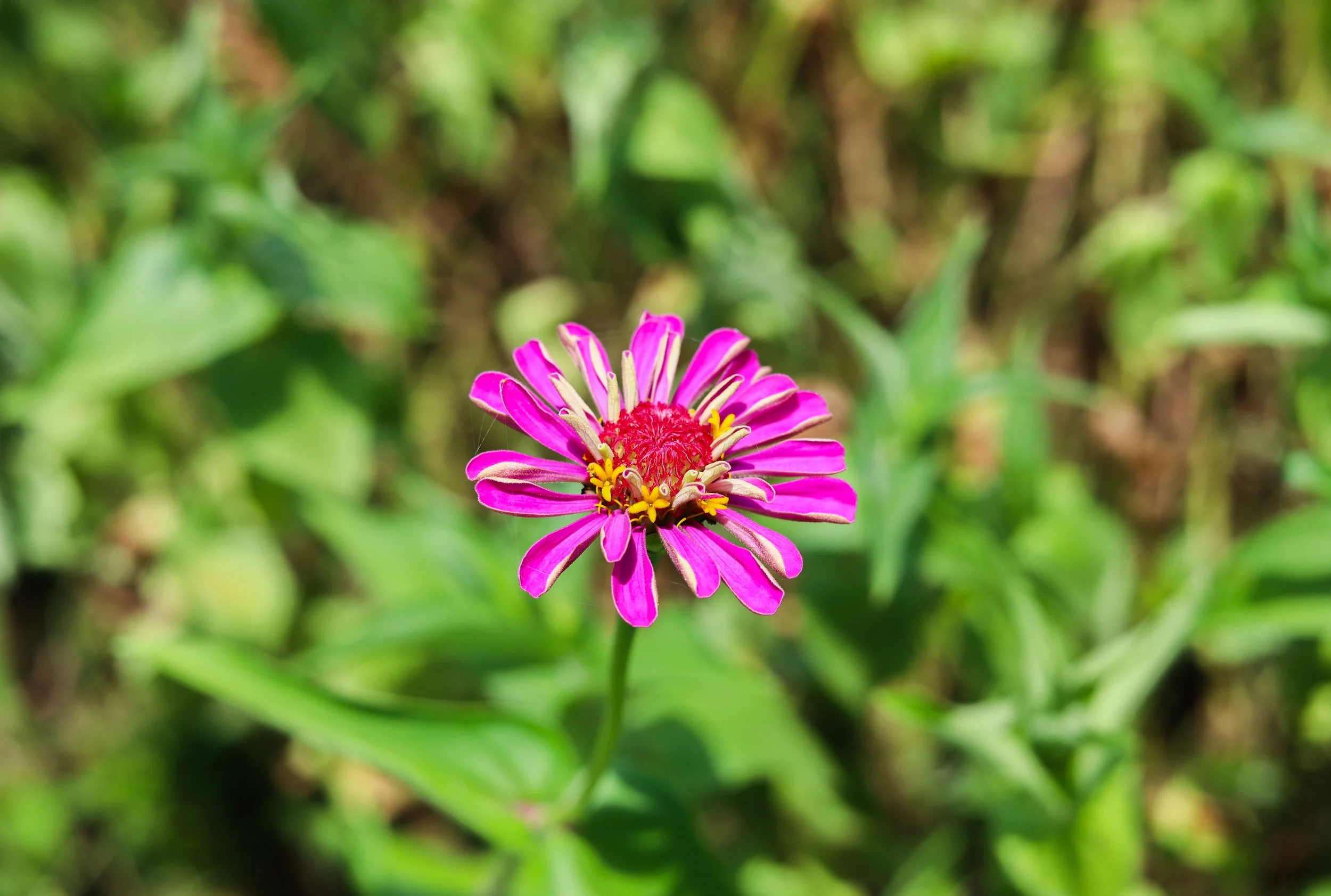 0F9A1024.jpg