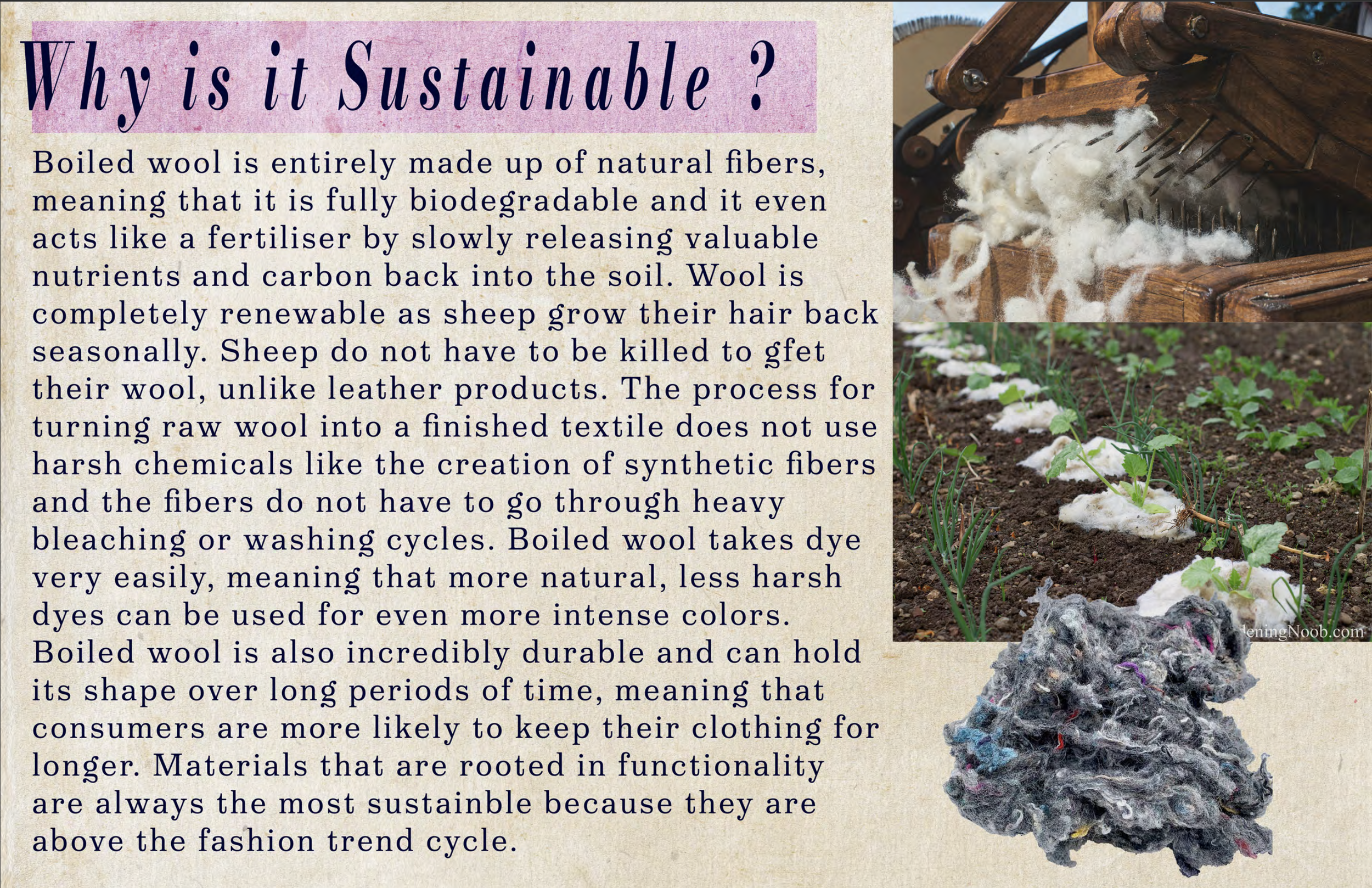 A graphic explaining why boiled wool is sustainable, with images of wool being processed, wool being grown in a garden, and a pile of raw wool fibers.