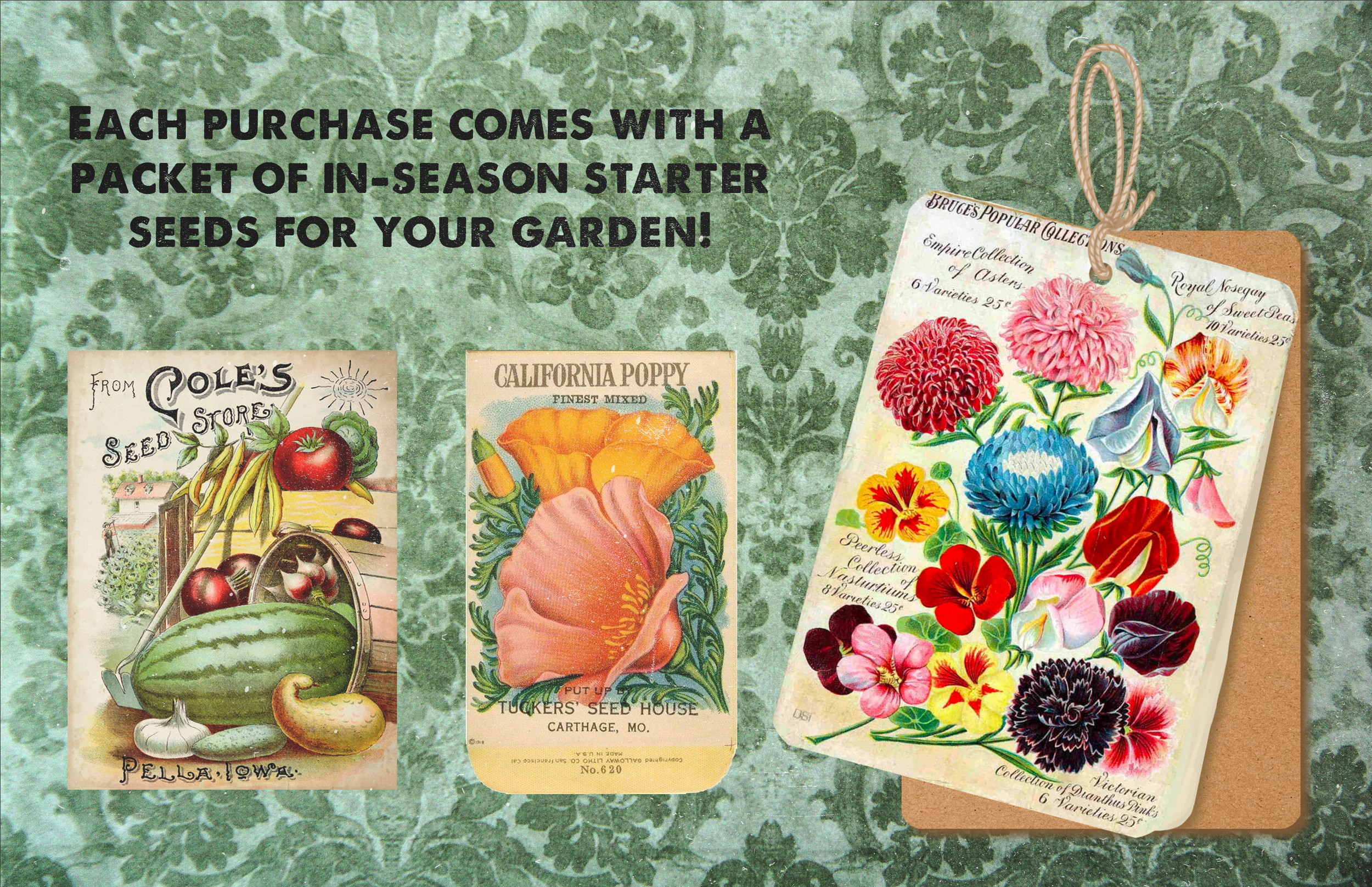 A promotional image showing seed packets and seedling cards for gardening. The background is a green patterned surface. The text states, "Each purchase comes with a packet of in-season starter seeds for your garden!" There are seed packets from Pole'
