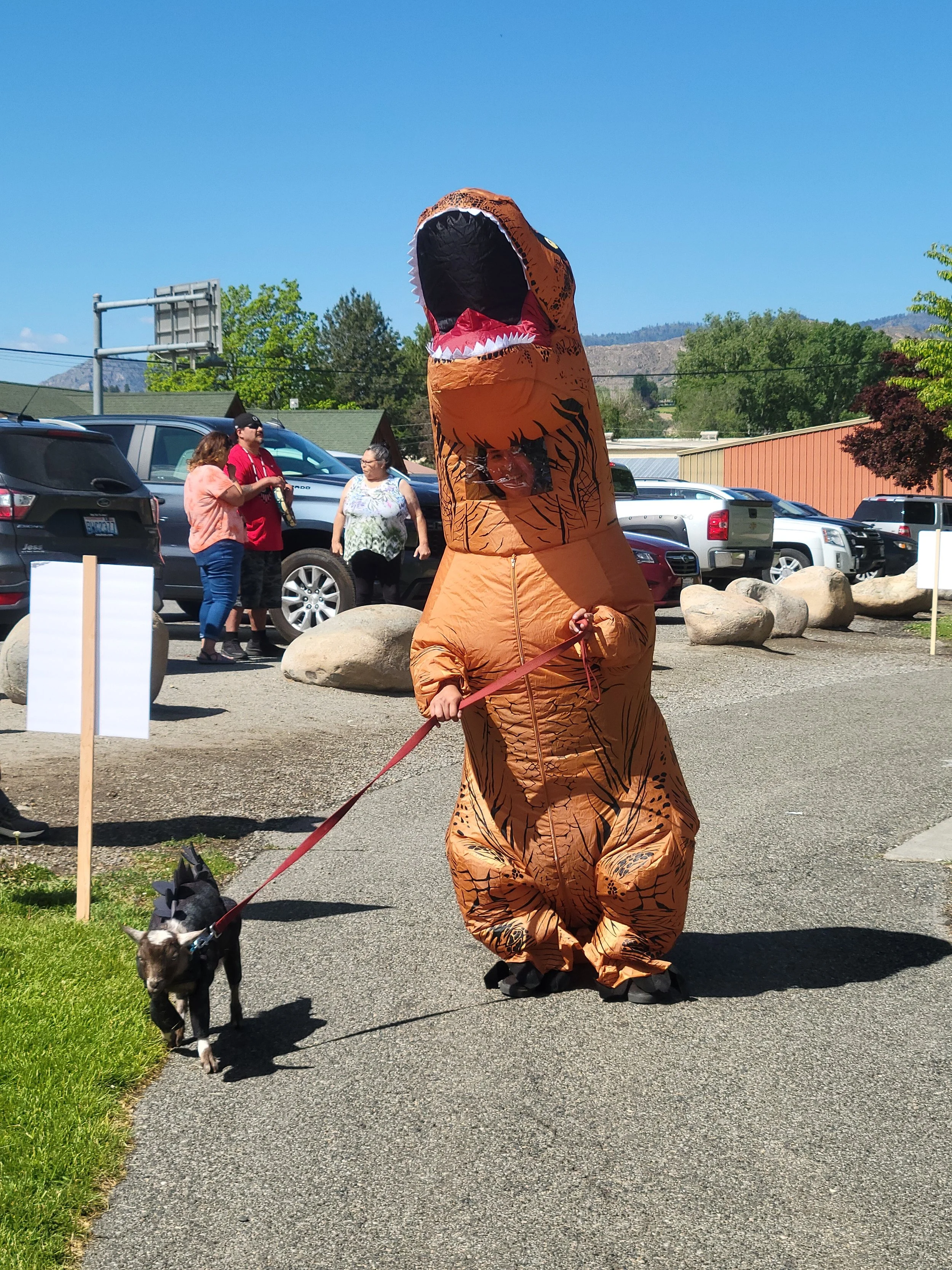 MHM Color Walk 2021 Dinosaurs(14).jpg