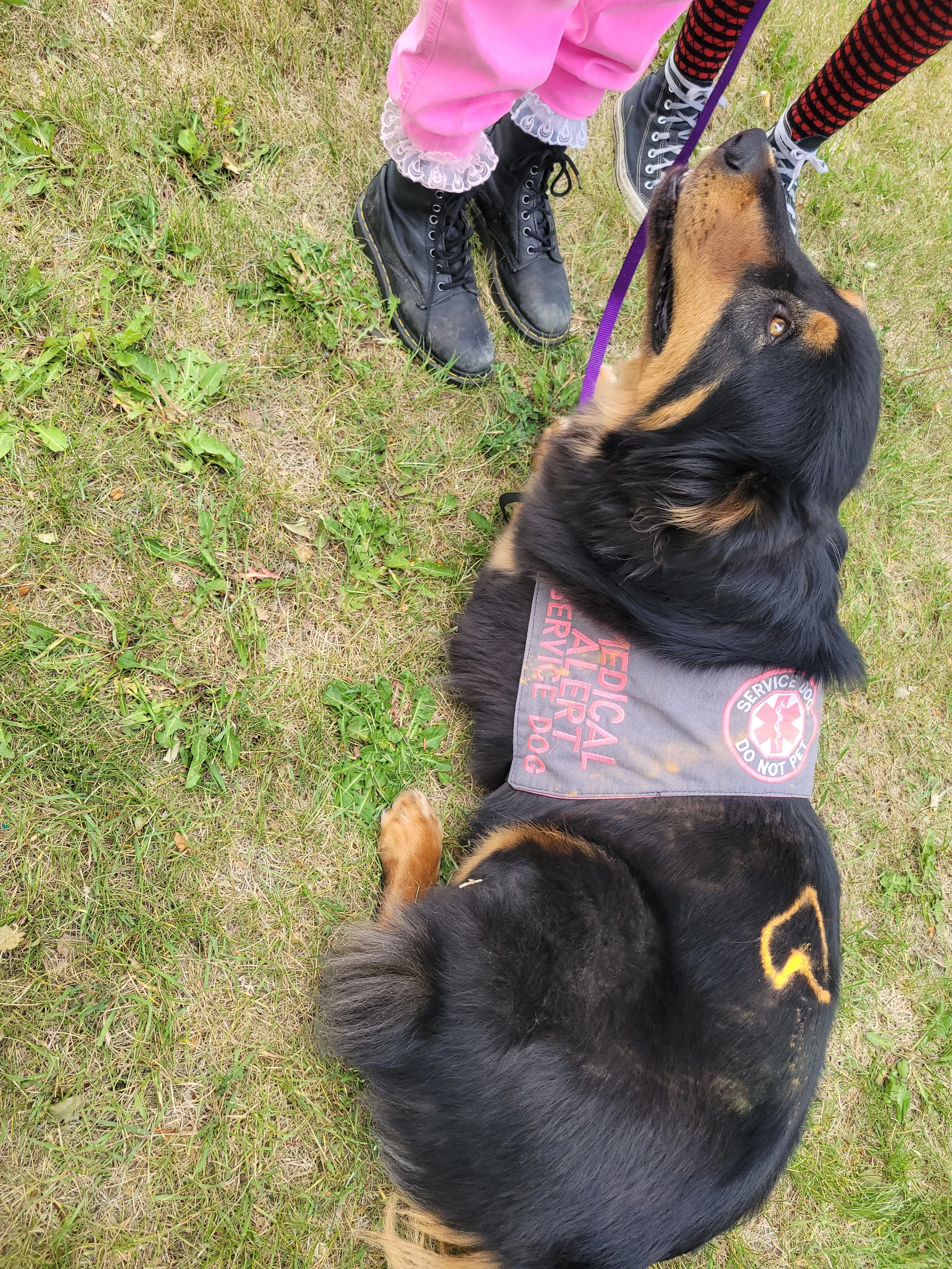 MHM Color Walk 2021 canine contingent(31).jpg