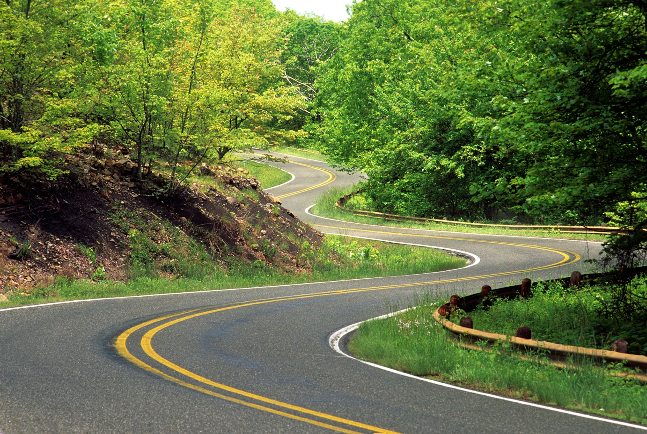 Carretera serpenteante en medio de un bosque con muchos árboles verdes.