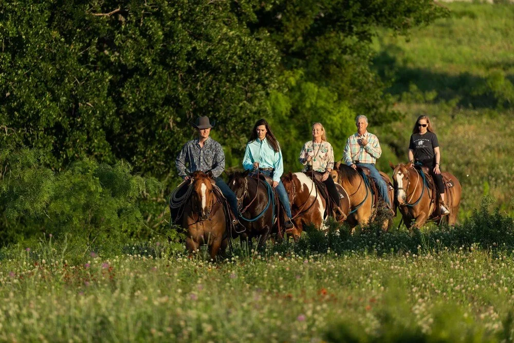 Cinco personas montando caballos por un campo verde y arbolado.