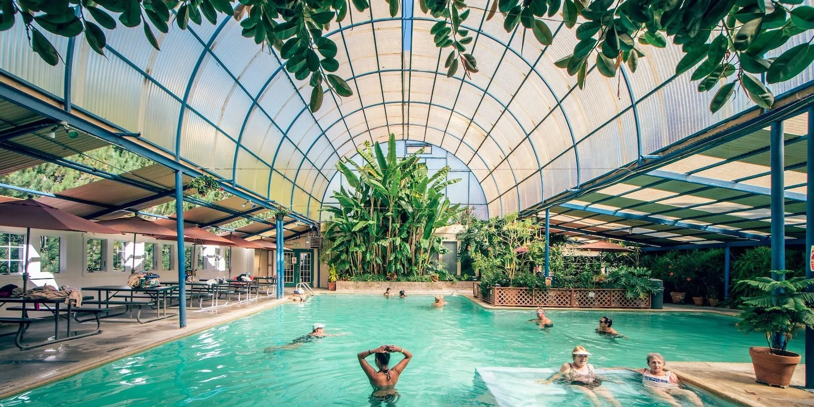 Piscina cubierta con personas disfrutando, rodeada de plantas verdes y puertas con ventanas, estructura de vidrio y metal en el techo.