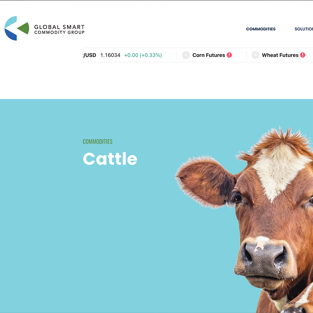 The Global Smart Project