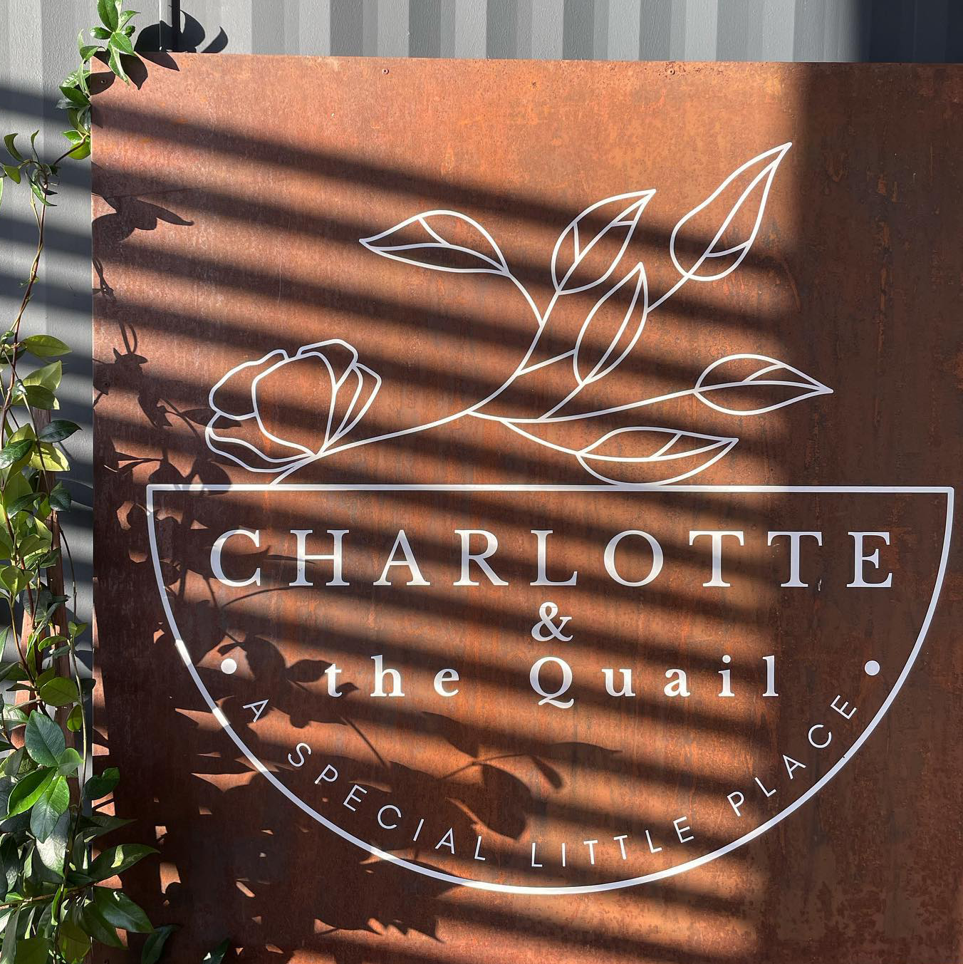 Buy Fridge of Wonders