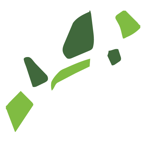 Stylized green map of the United States without labels.