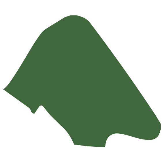 Green silhouette of the island of Bermuda with simplified shape.